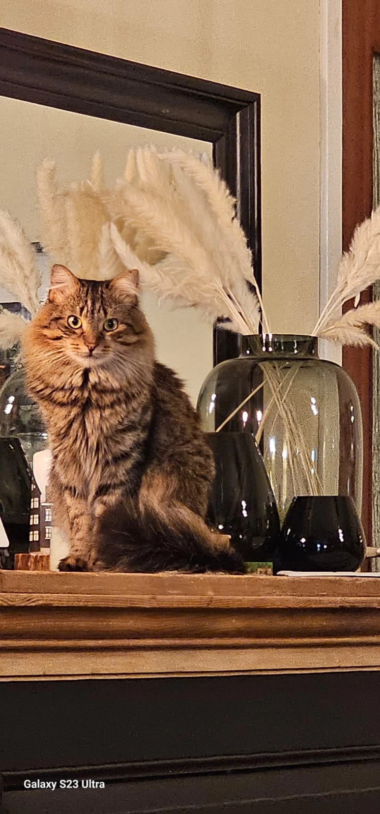 Macaron  - Nieuwlaan, Hoeilaart