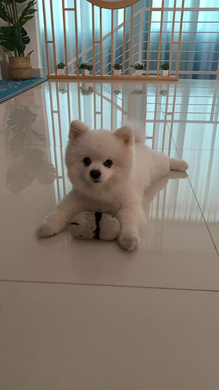 kiki - Jalan Kundang Jaya 1, Rawang