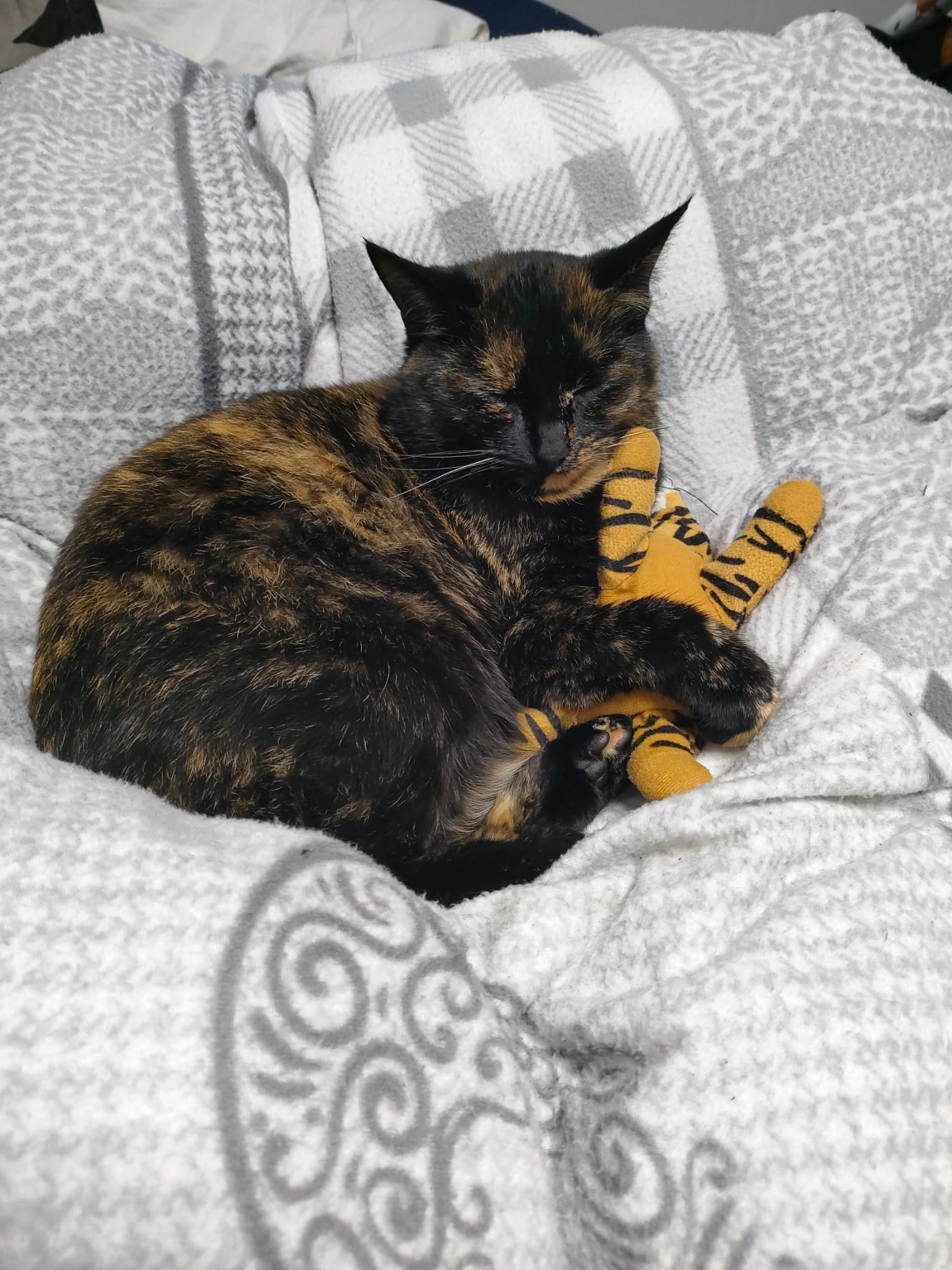 Lily - Tulpenweg 14, Kalkar