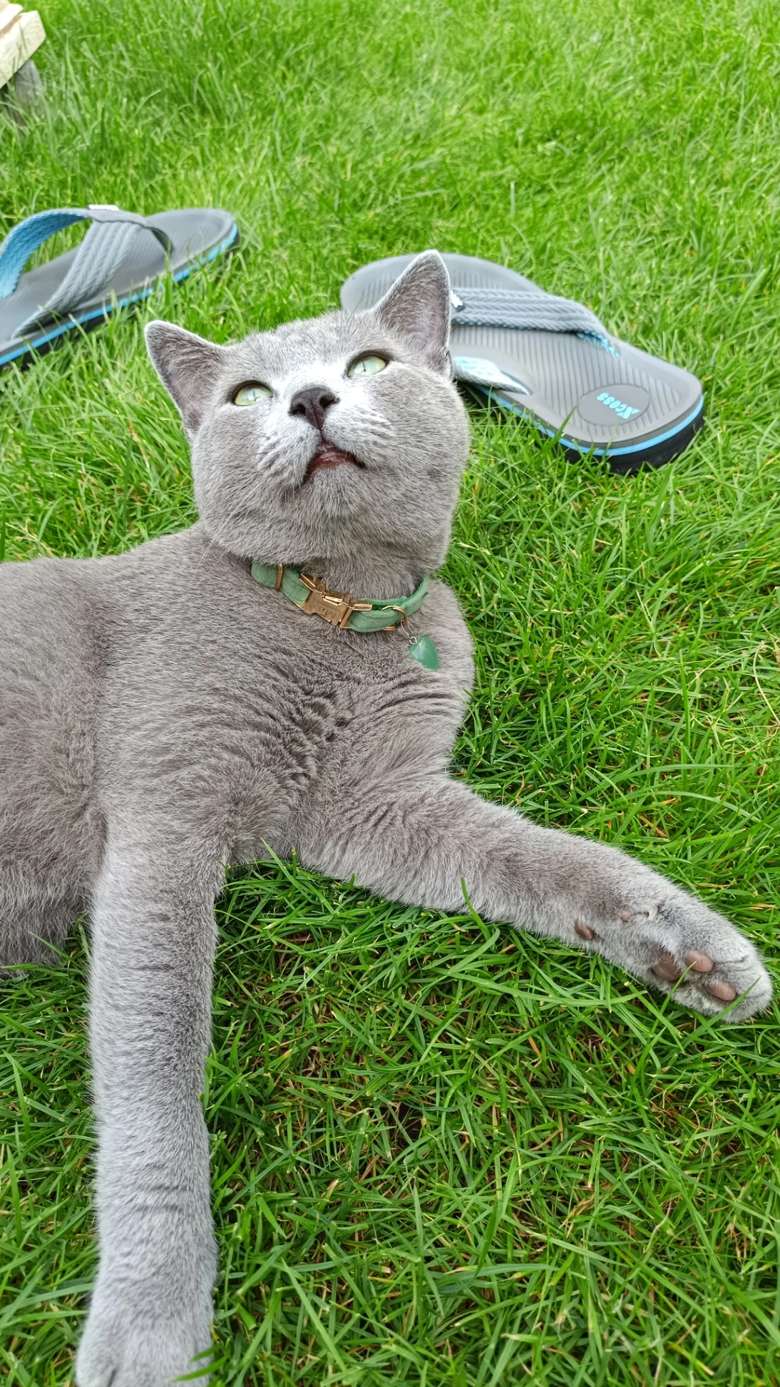 Maximus - Monseigneur Paredisstraat, Hoensbroek