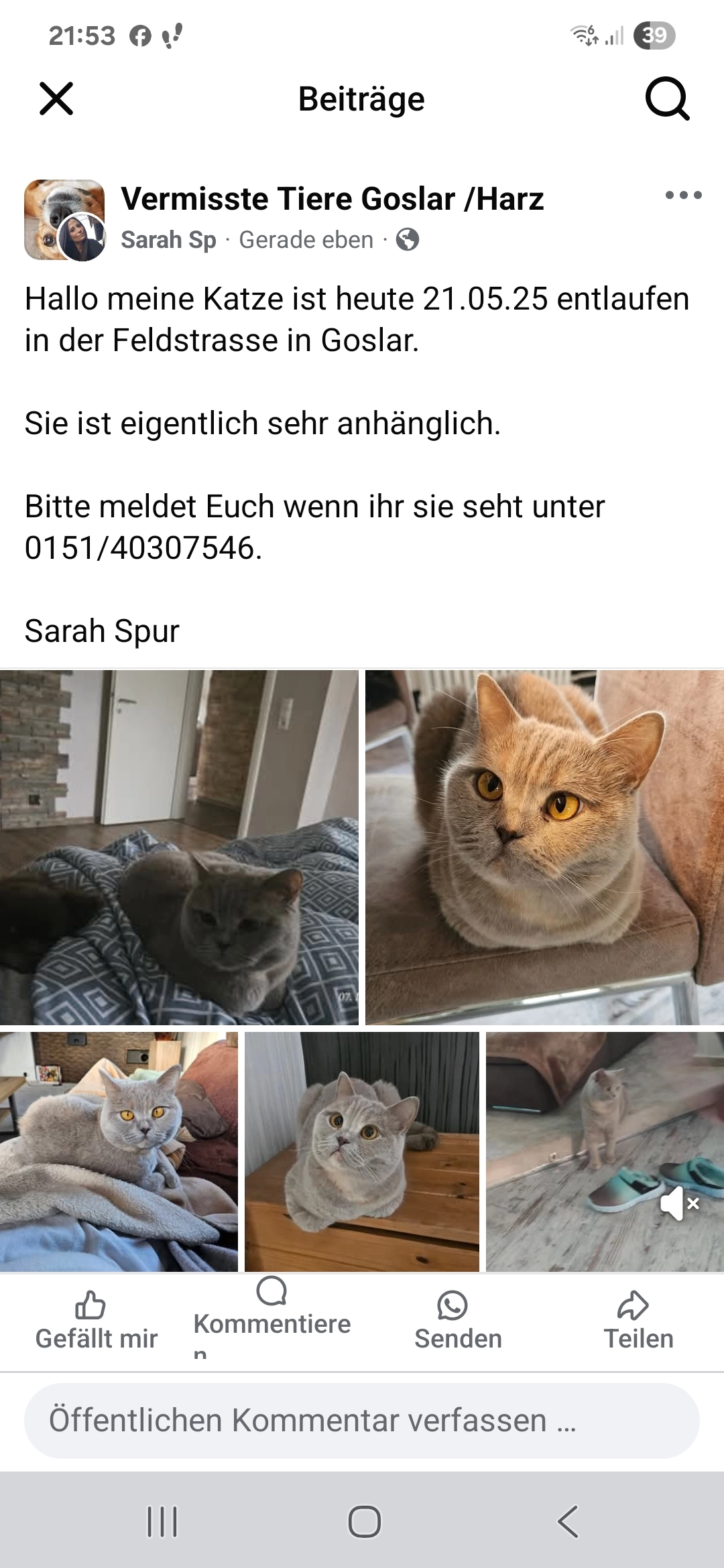 Luna  - Feldstraße, Goslar