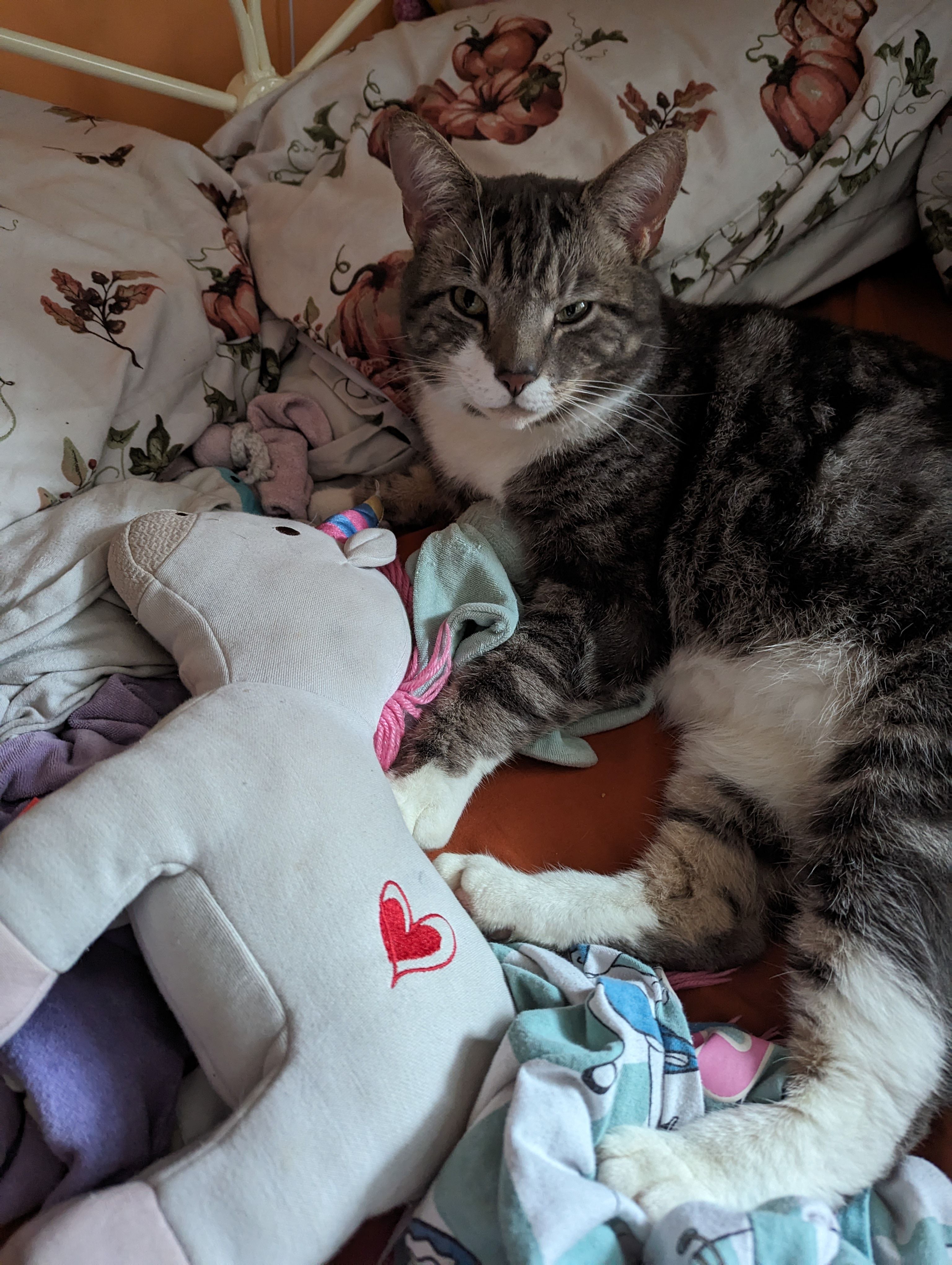 Flumps - Cairnview Place, Laurencekirk