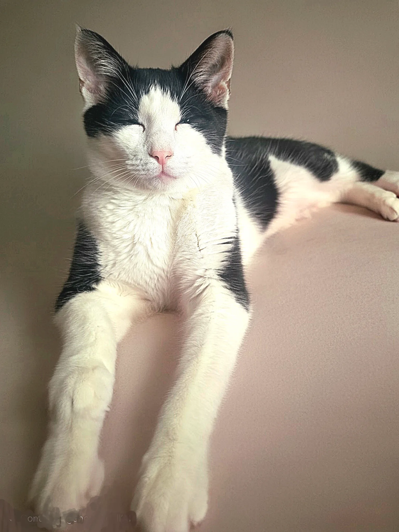 Teo - Mount Road, Manchester