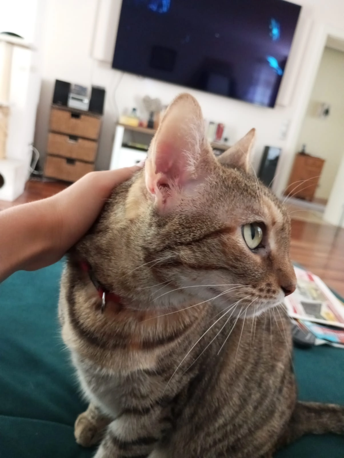 Lilly - Uracher Straße, Köln