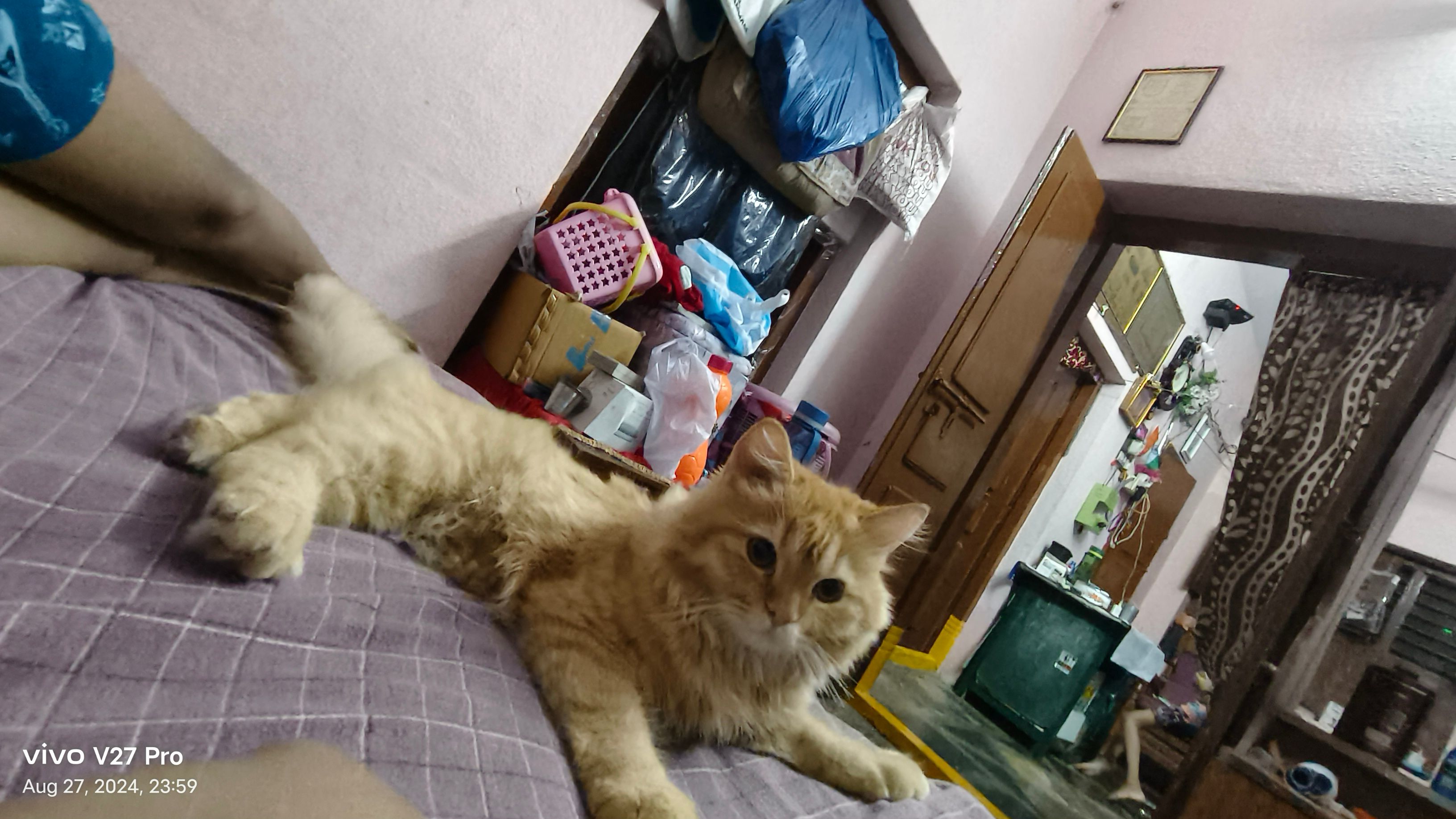 Sheero - Nst road Road, near ravi public school, Khammam