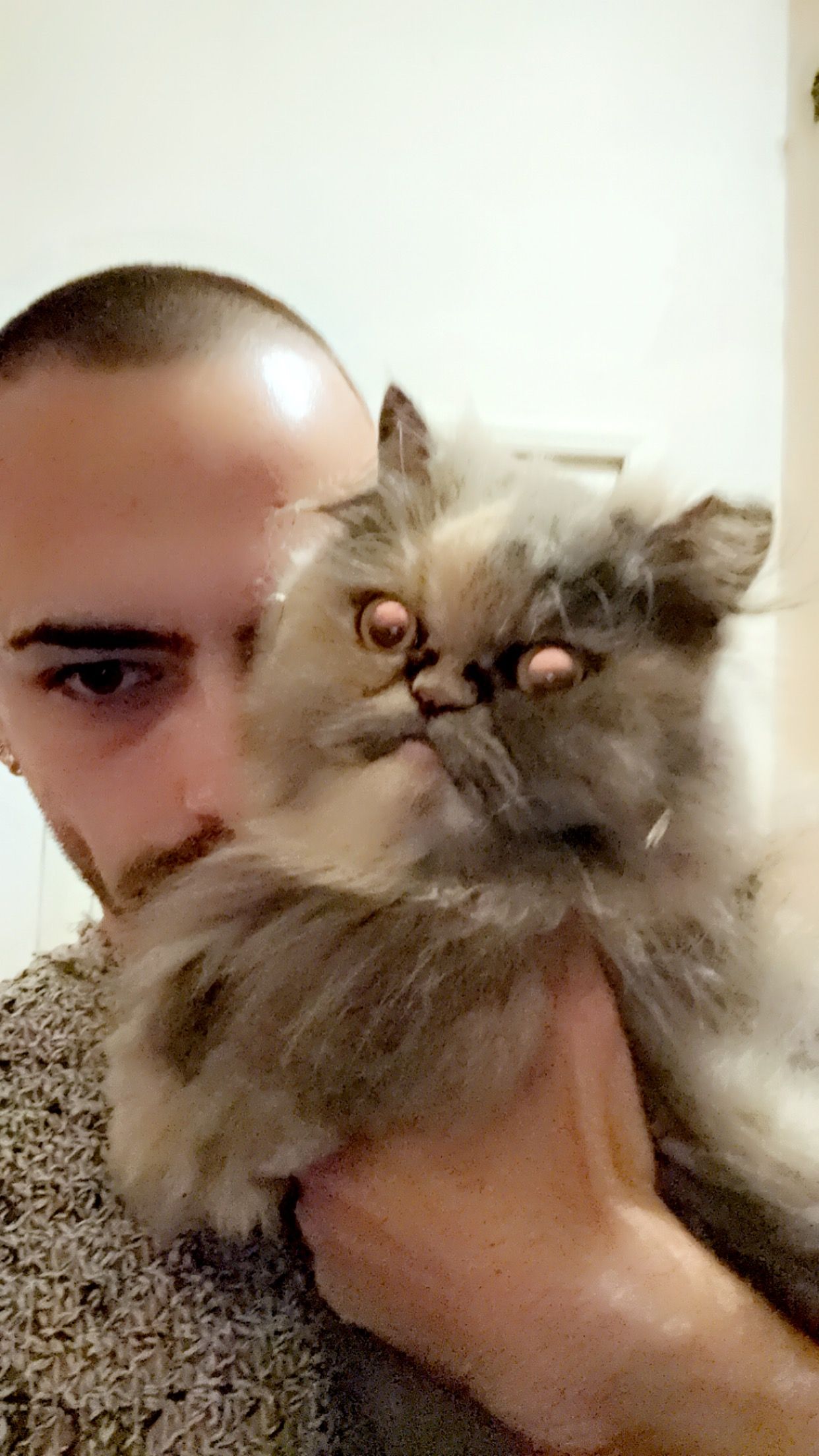 Khai - Borongaj Aerodrom, Zagreb