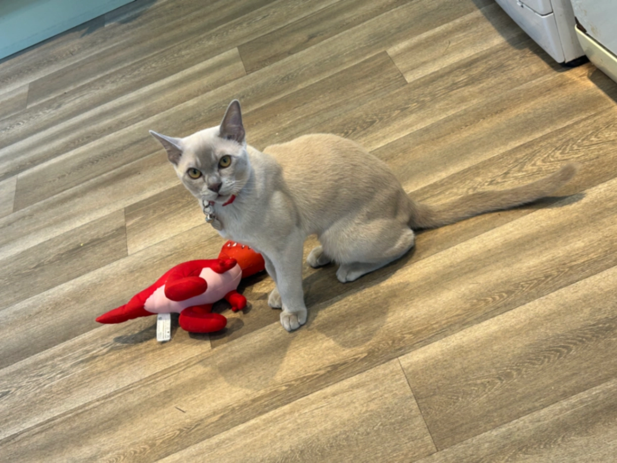 Zero - Waterham Road, Bracknell