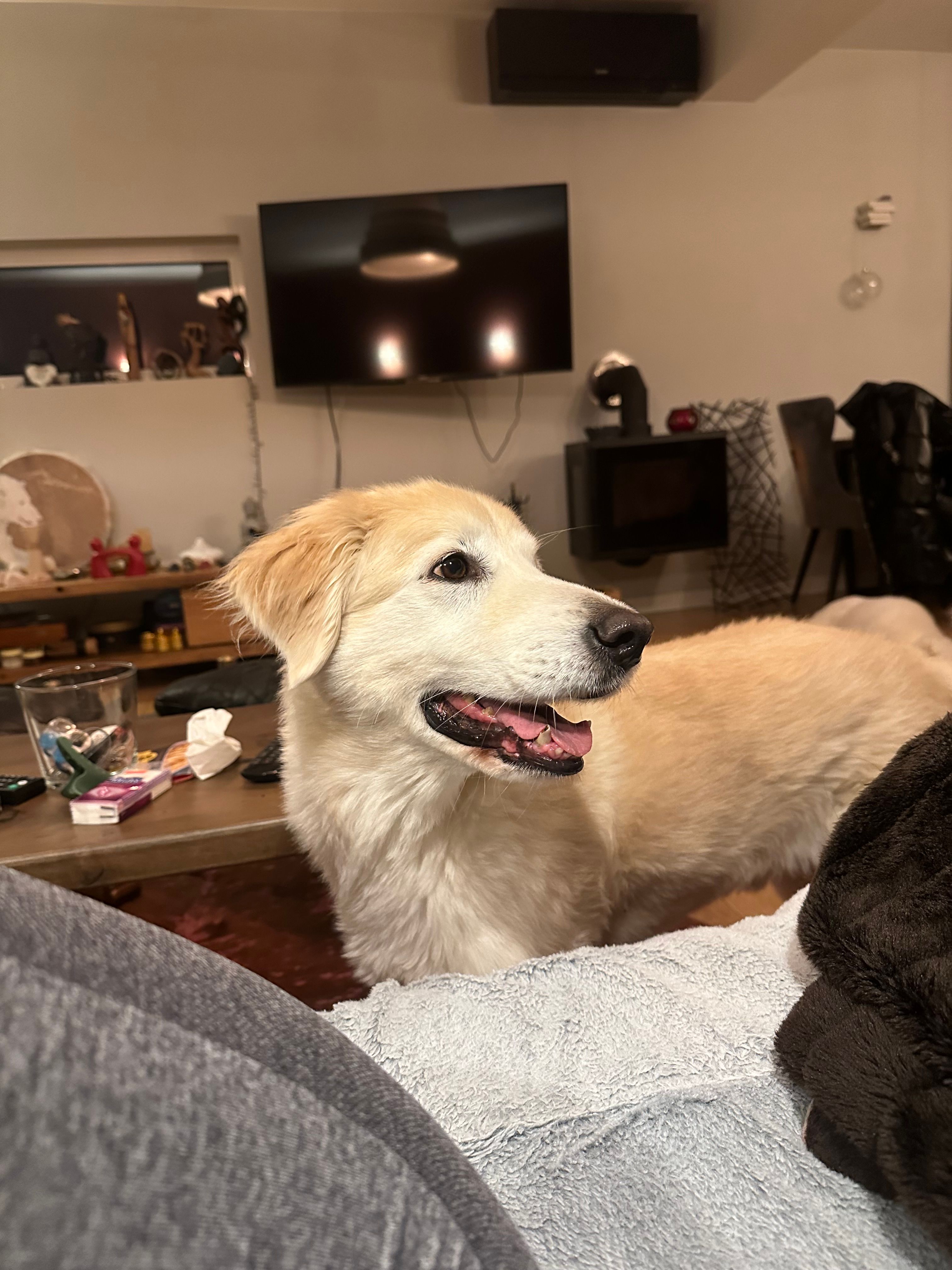 Junior - Istarska Ulica, Rijeka