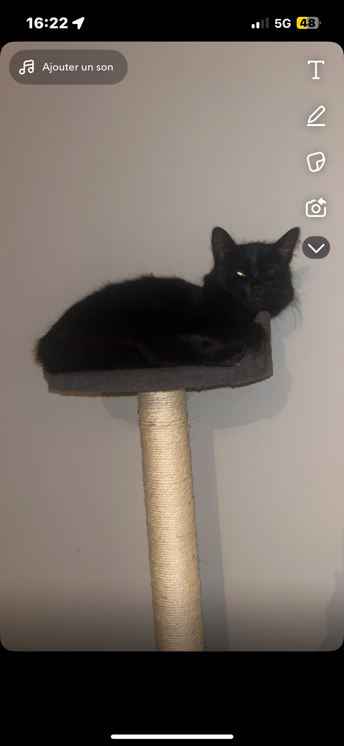 Scarlette  - Rue Roger Maginot, Allonne