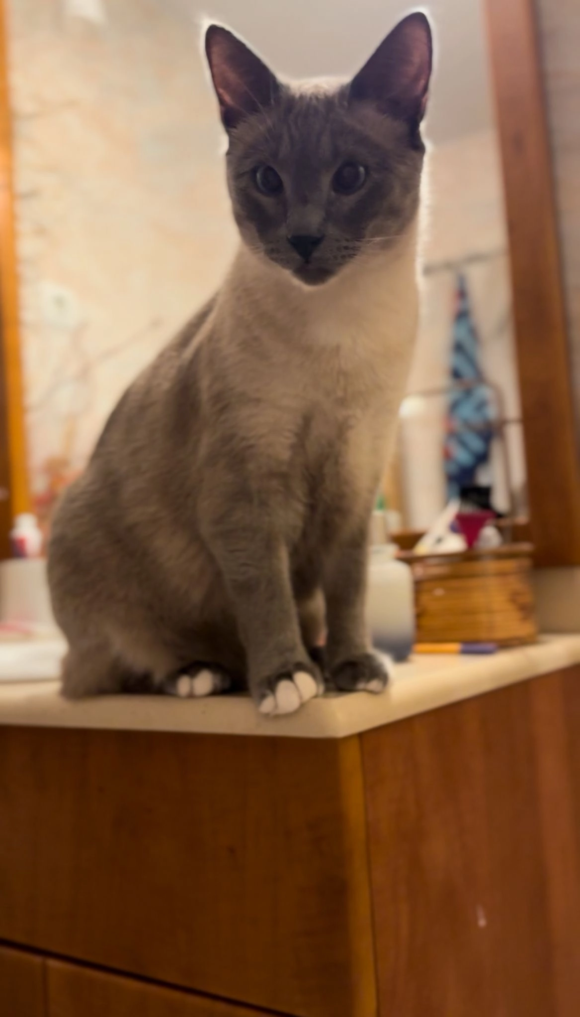 Garu - Paseo de los Olivos 143, Móstoles