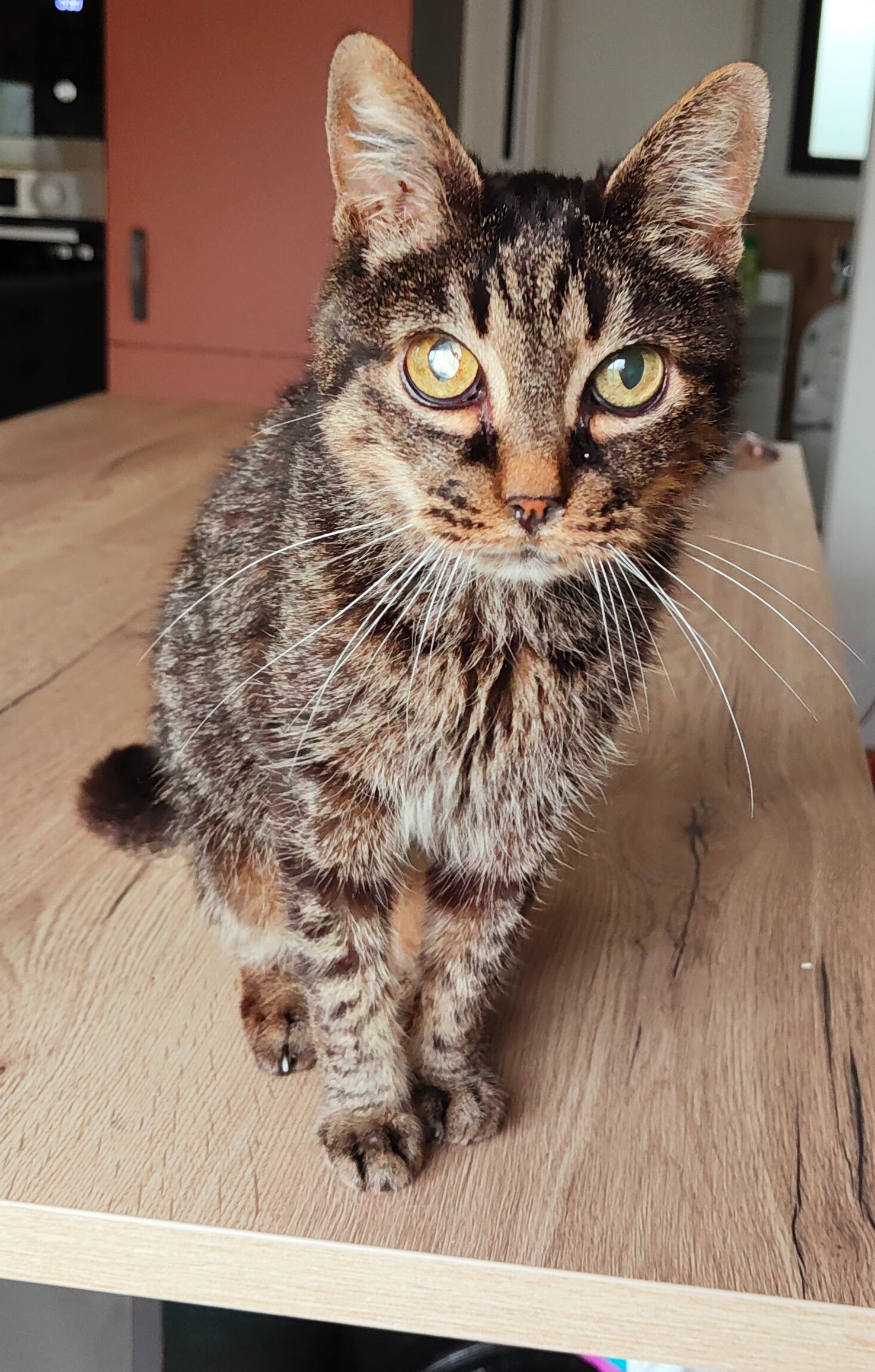 Nirvana - Allée Des Chênes Verts, Saint-Père-en-Retz