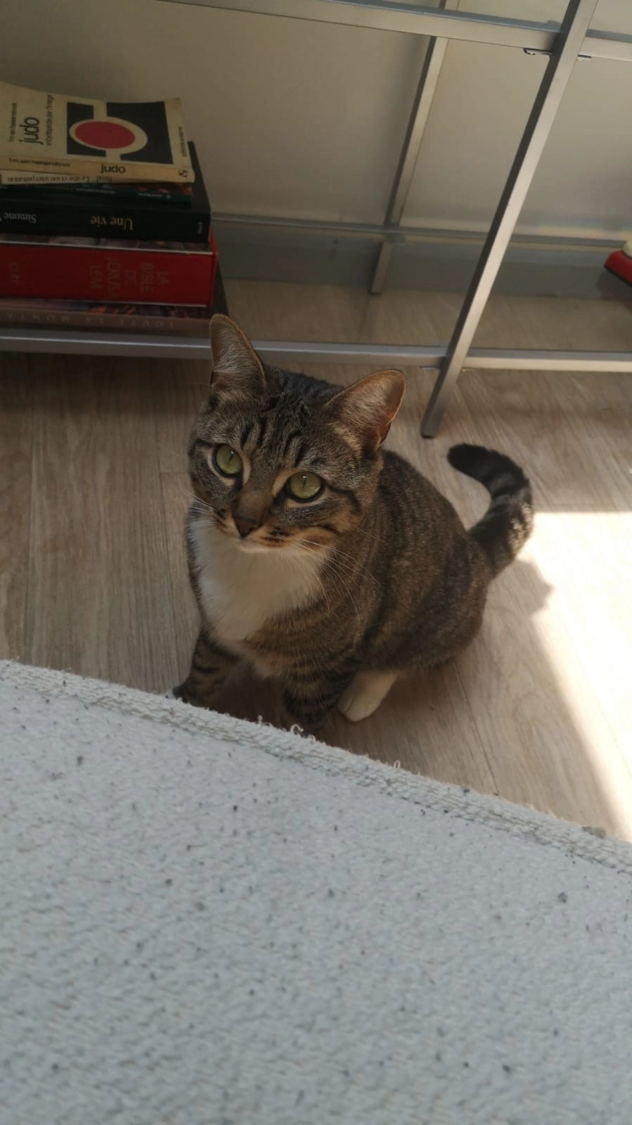 Uno - Rue Des Trois Piliers, Reims