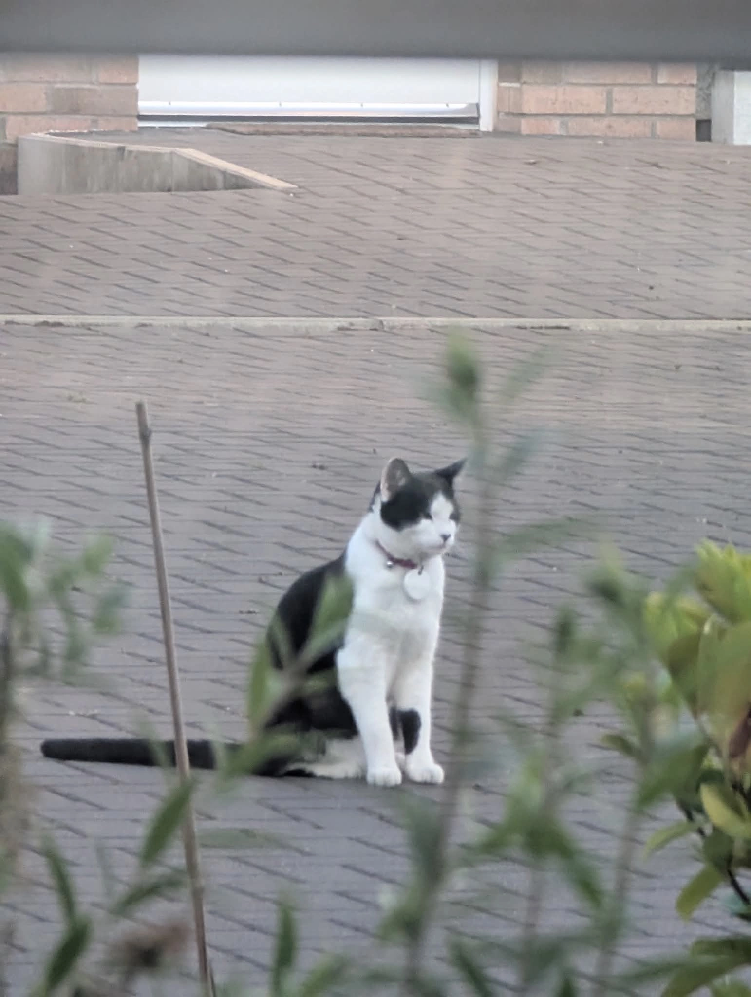 Soup - Wilkinson Drive, Edinburgh