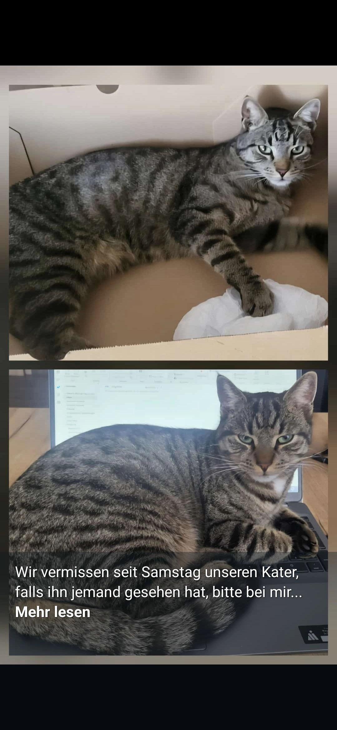 Mau - Sommerseite, Langenbach bei Mühltroff