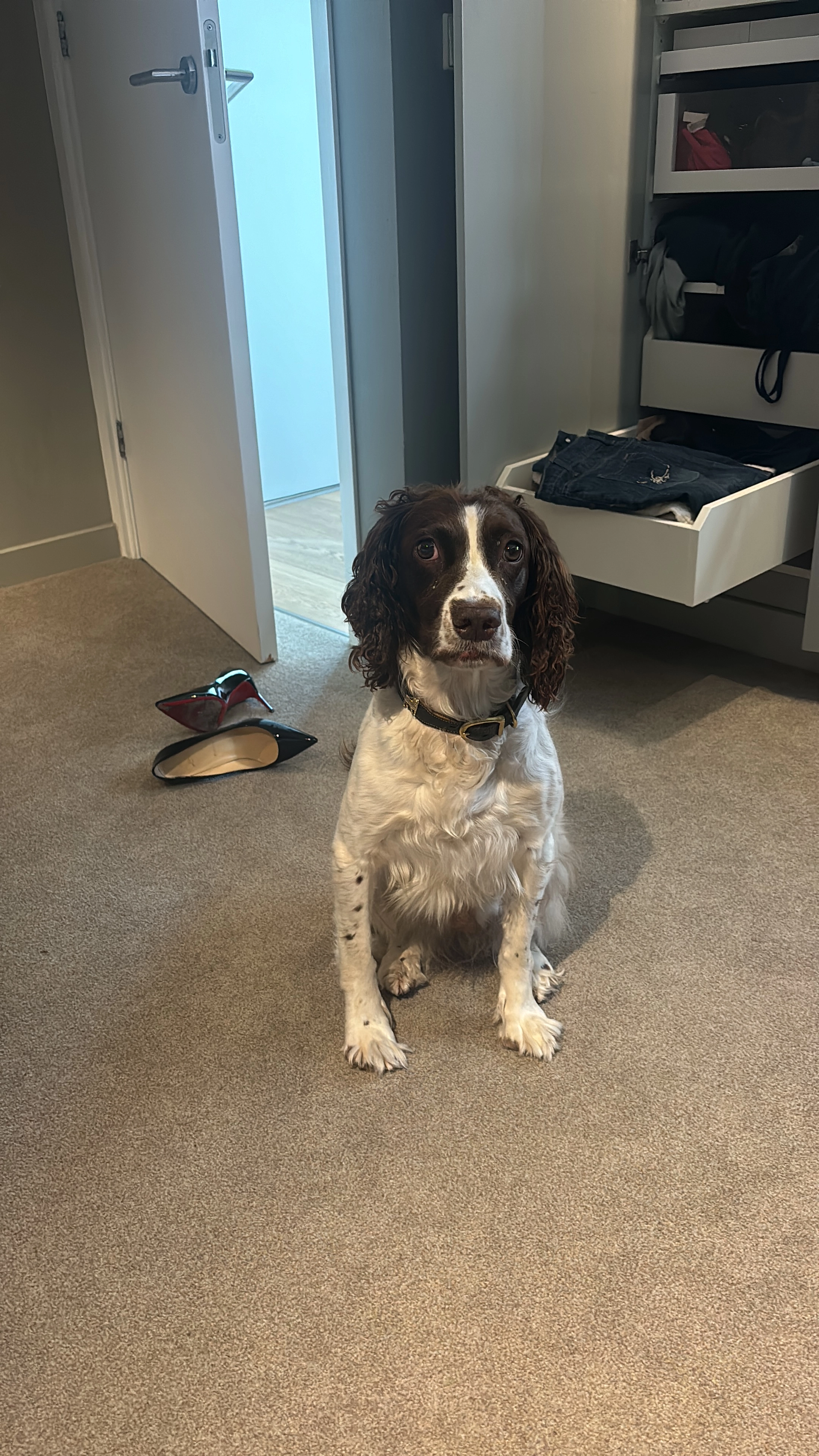 Spot - Ringvaartdijk, Amsterdam