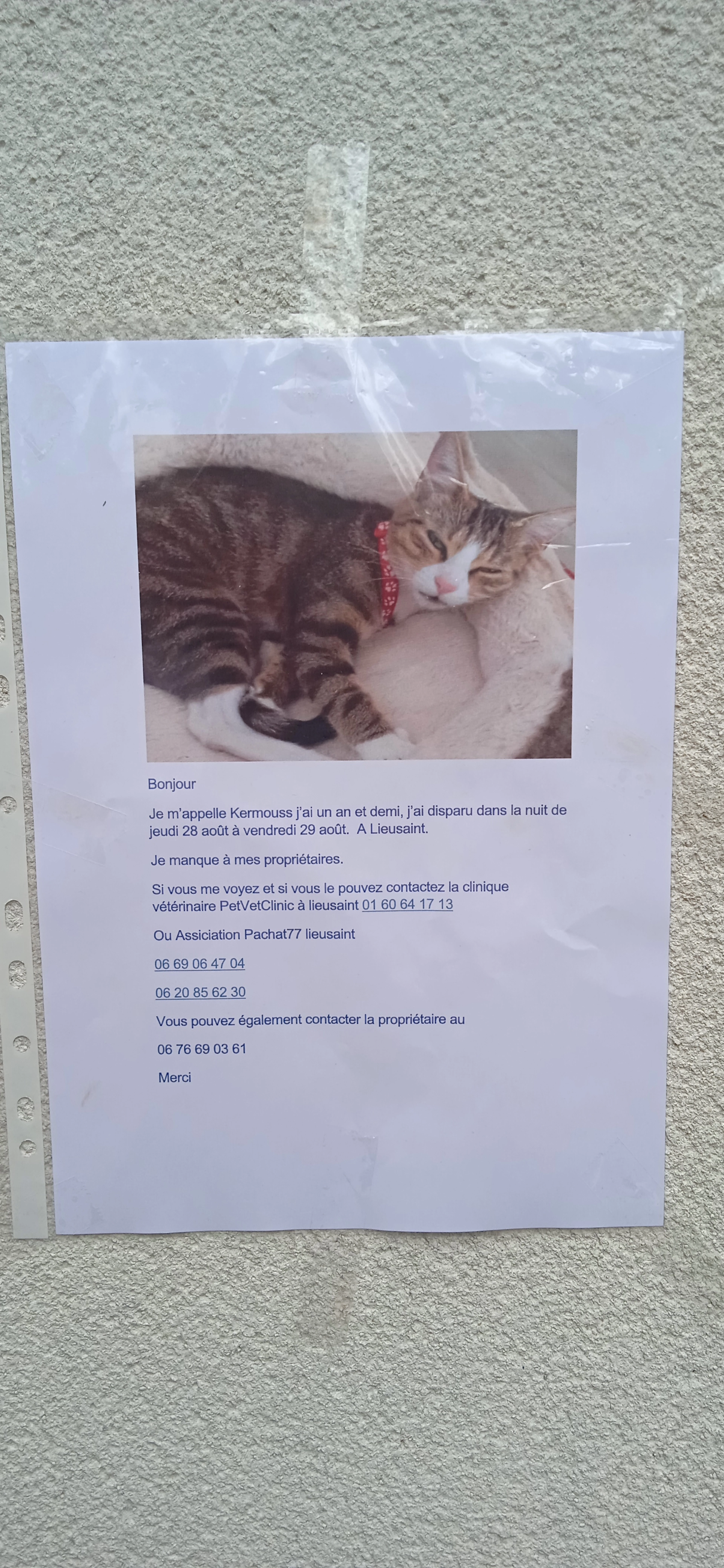 Kermouss  - 49 Avenue Pierre Point, Lieusaint