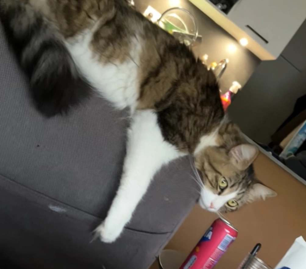 Vlad - Avenue De L'europe, Moissy-Cramayel