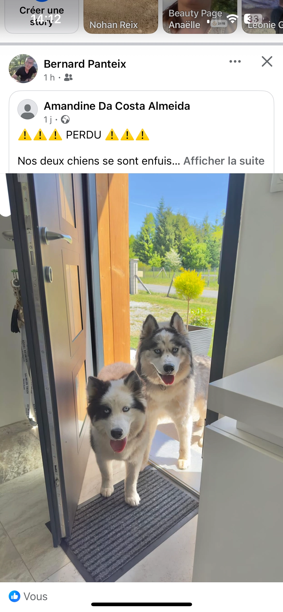 Snow et panda  - Route de Millevaches, Saint-Sulpice-les-Bois