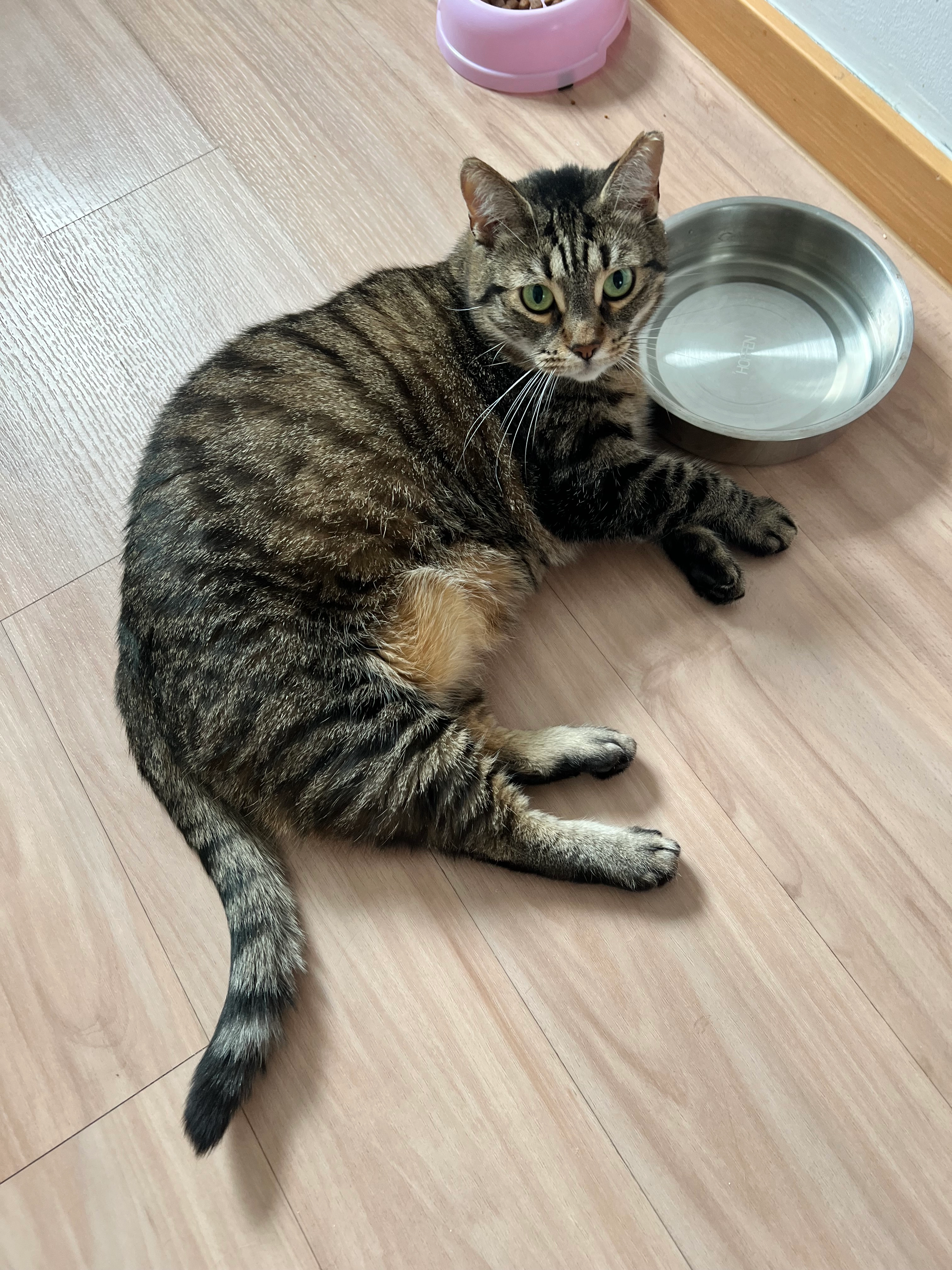 Szyszka - August-Bebel-Straße, Löcknitz