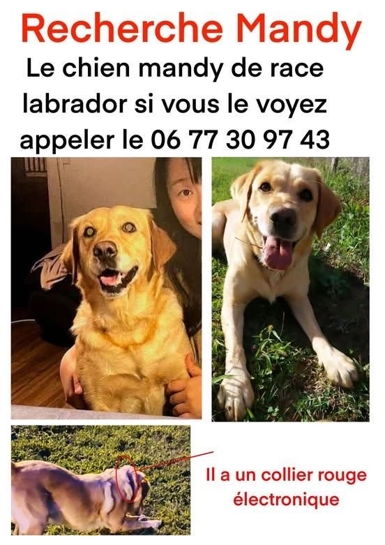 Mandy - 25 Rue de Châtillon, Montmerle-sur-Saône