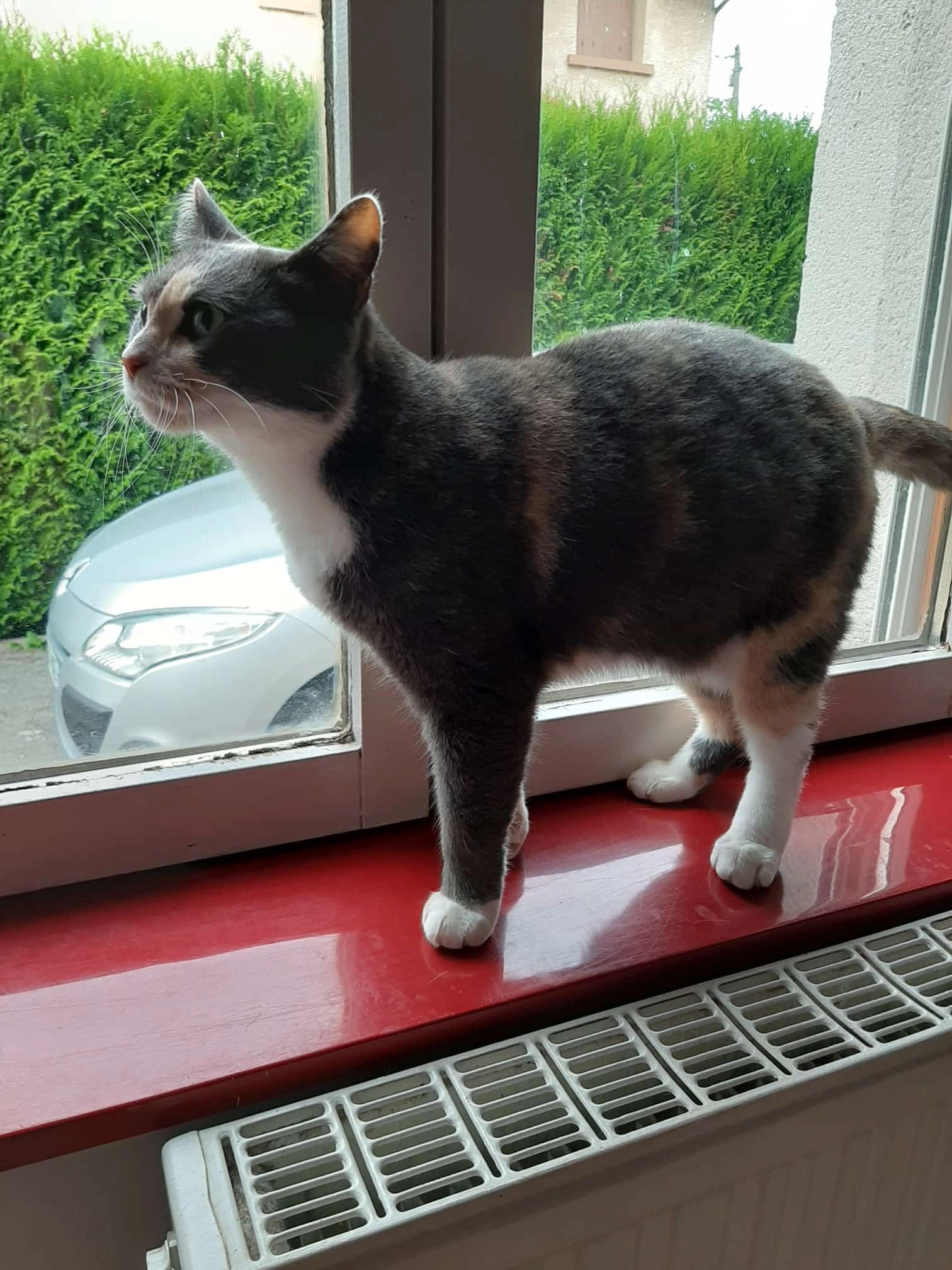 Agatha - Chemin de la Salle, Amiens