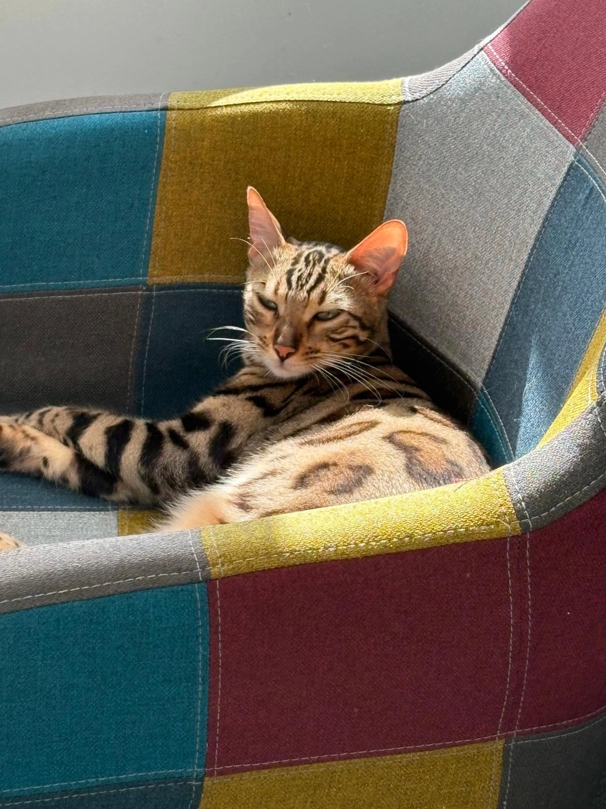 Ziza - Mikszáth Kálmán Utca, Balatonfüred