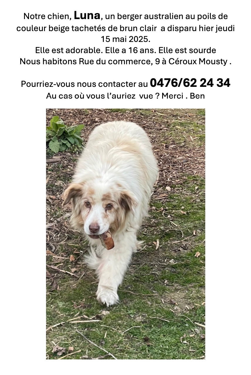 Luna - Rue du Commerce, Ottignies-Louvain-la-Neuve