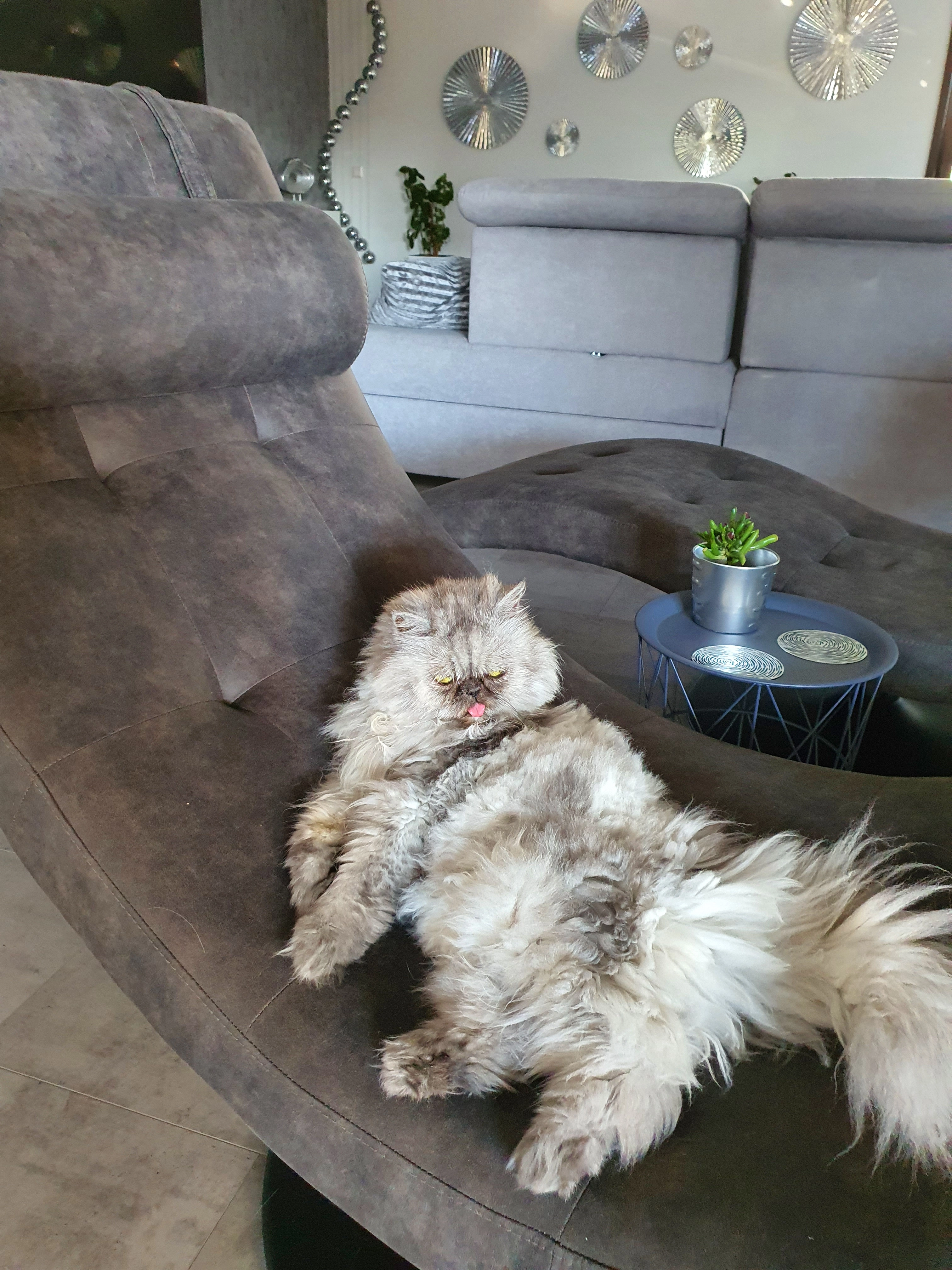 Bonnie - Benzstraße, Schwaikheim