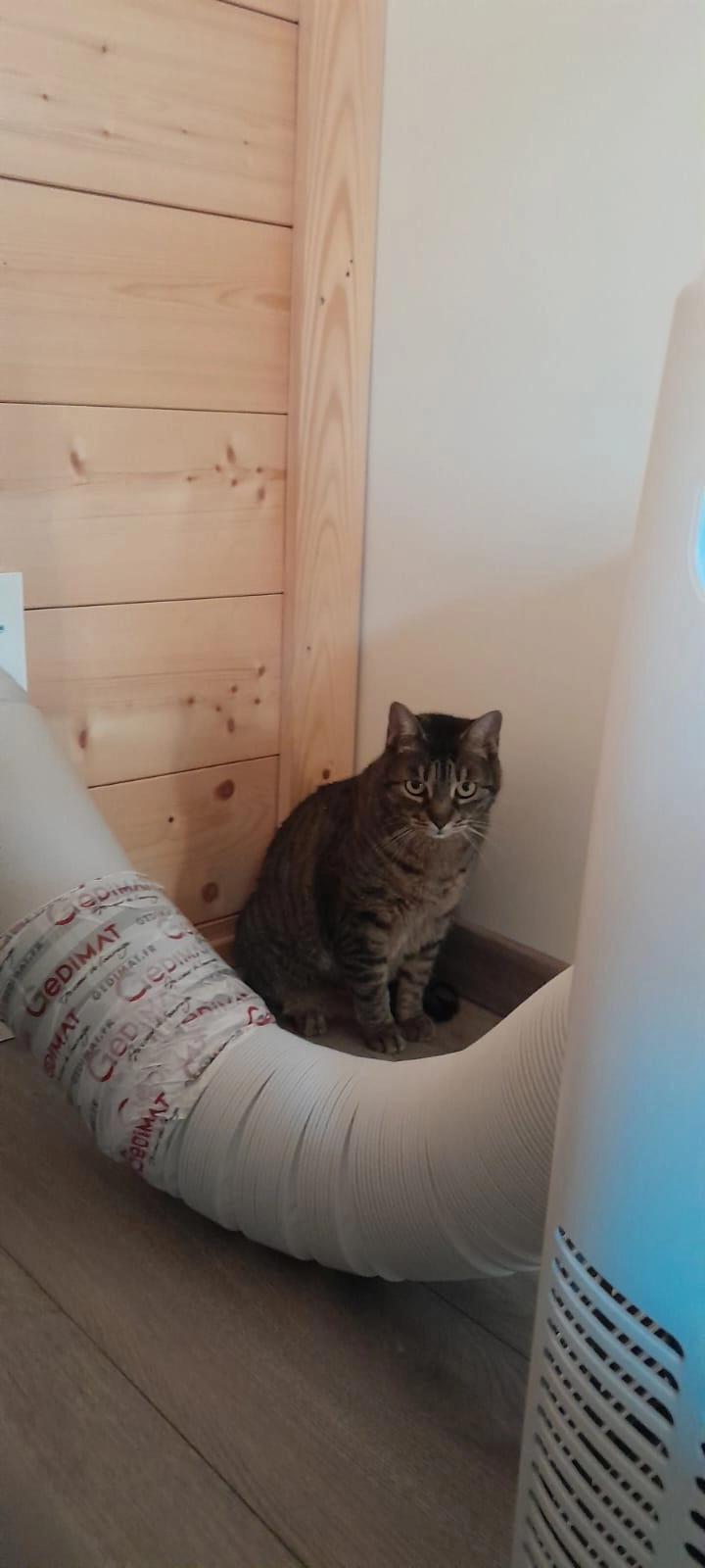 Chachou ou grisoulle - 274 Rue des Femeux, Marignier