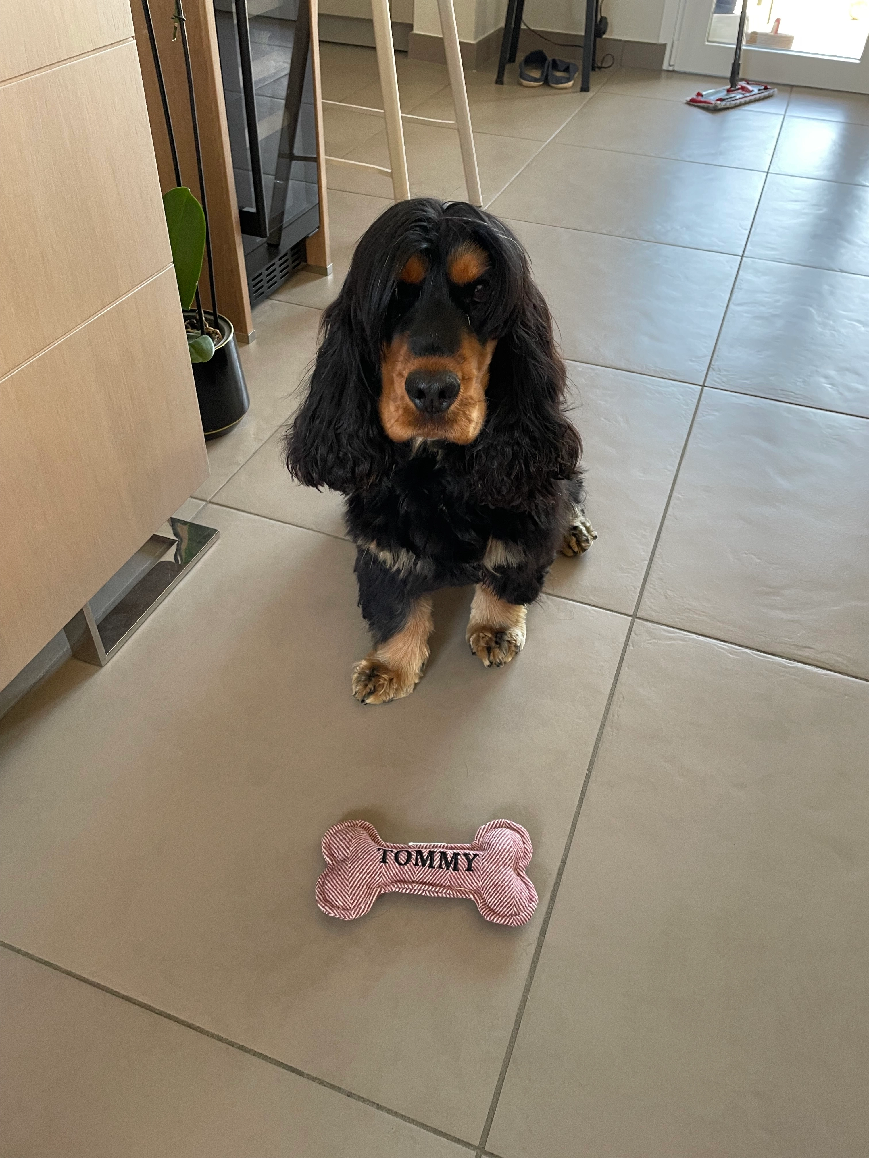 Tommy - Rue du Jacquet, Lucenay