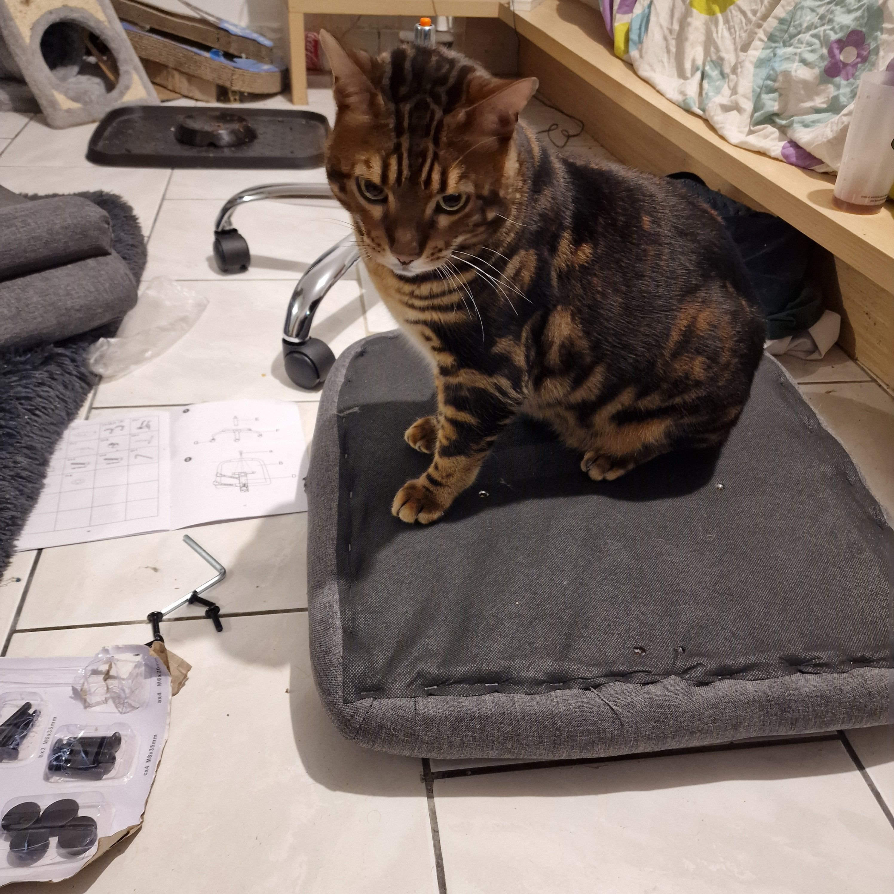 Beerus - 604B Avenue de la Liberté, Bray-Dunes