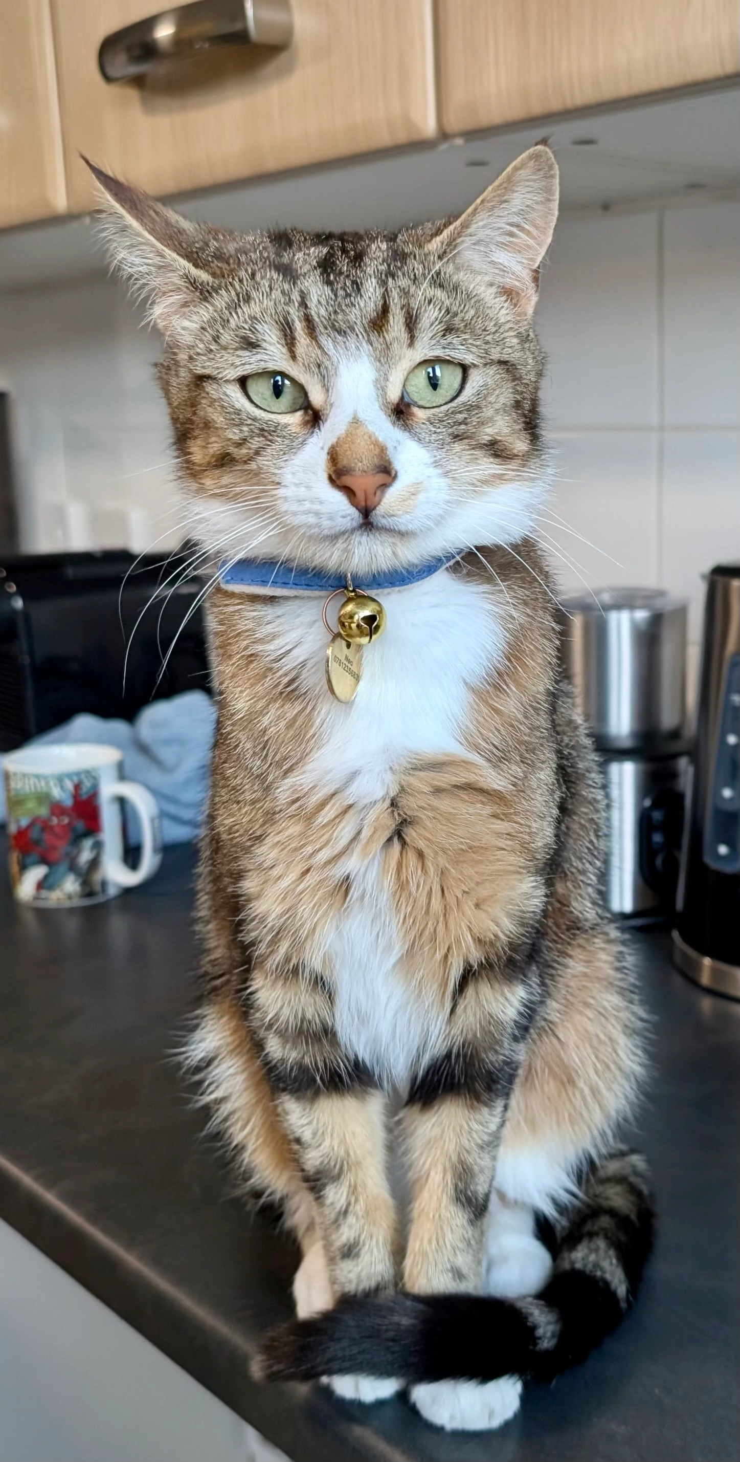 Neo - Willow Park Drive, Wigston