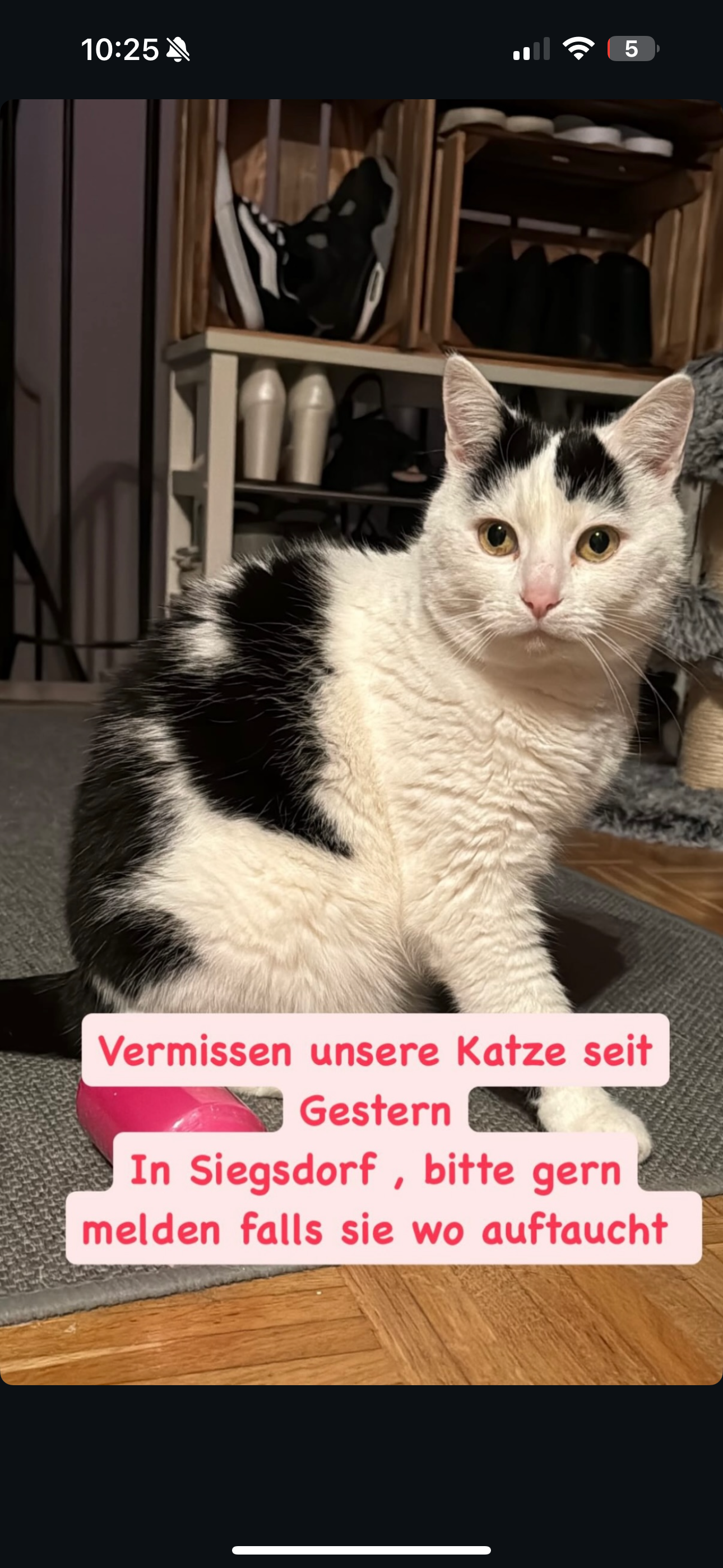 Minou - Sonnenstraße, Siegsdorf