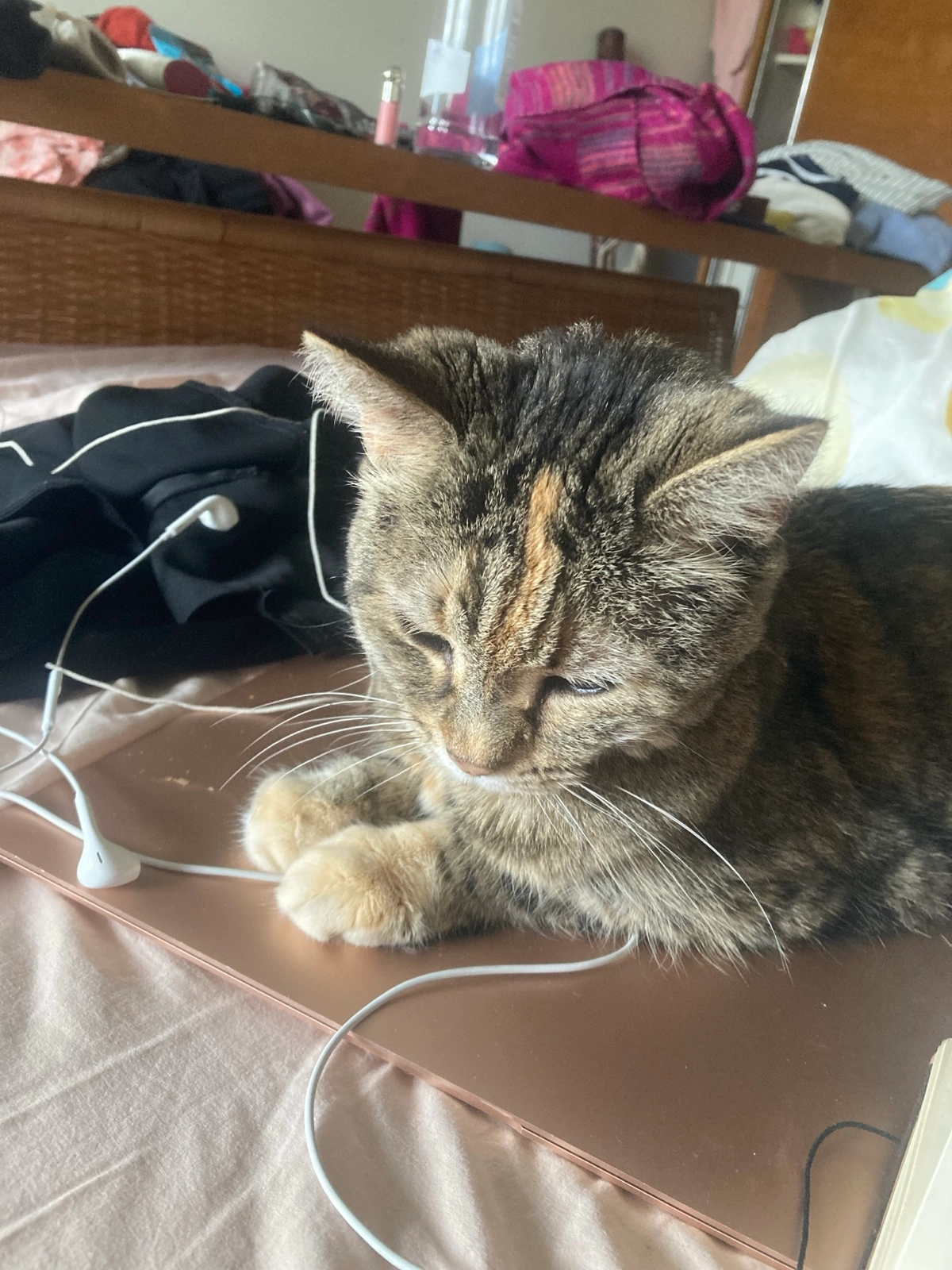 Luna - Bäumlihofstrasse, Basel