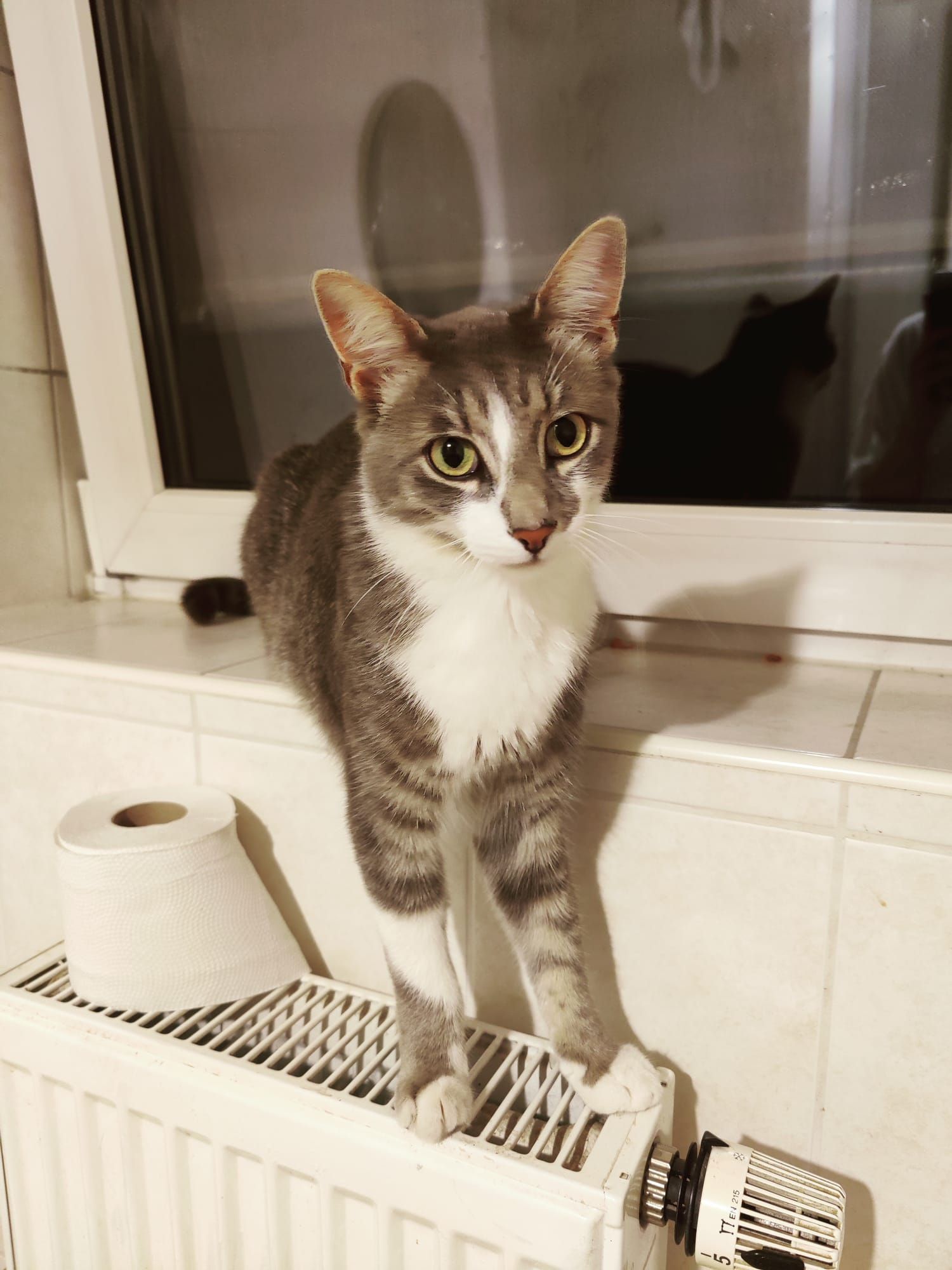 Kiwi - Zum Hermannsberg, Sand am Main