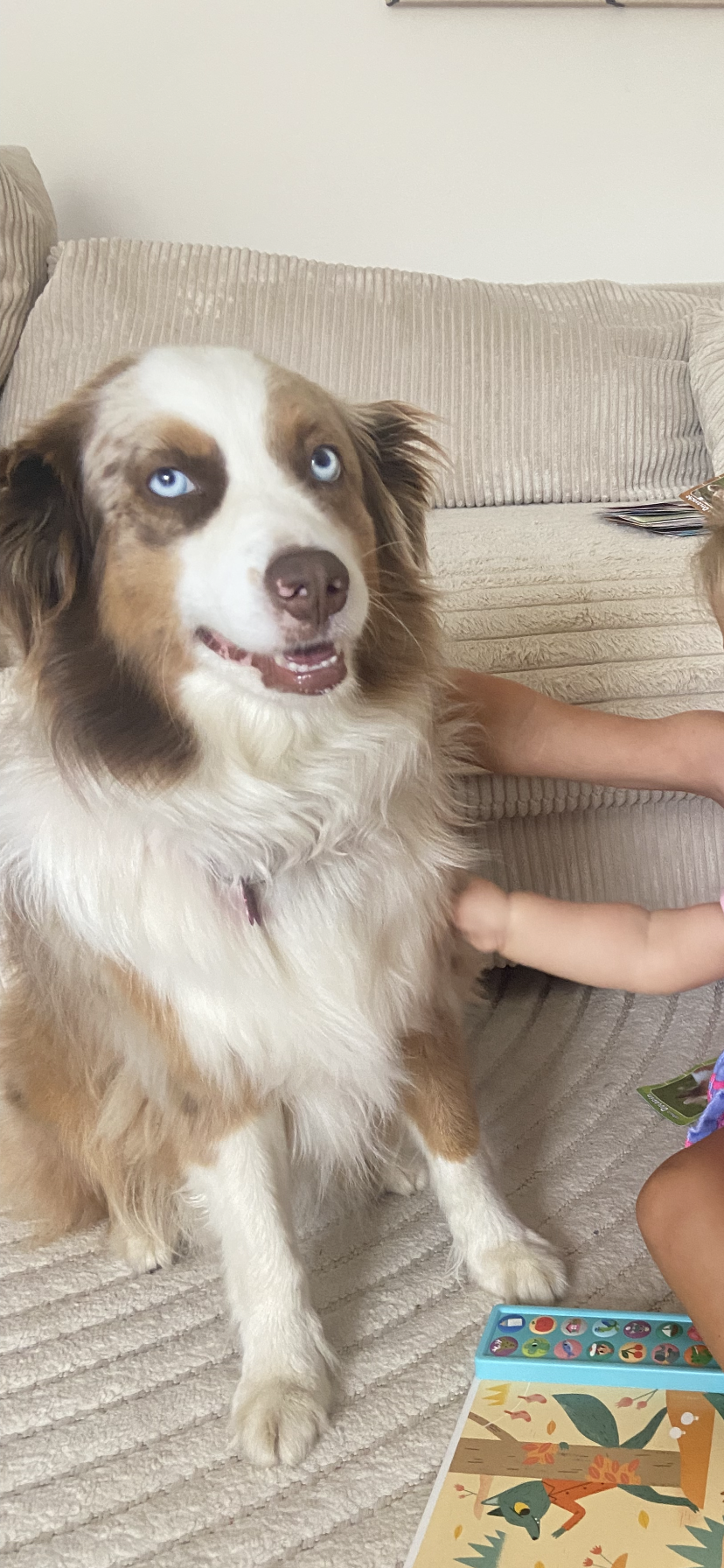 Ouchy  - Rue du Sergent-Chef Marc Benoît Lizon, Les Rousses