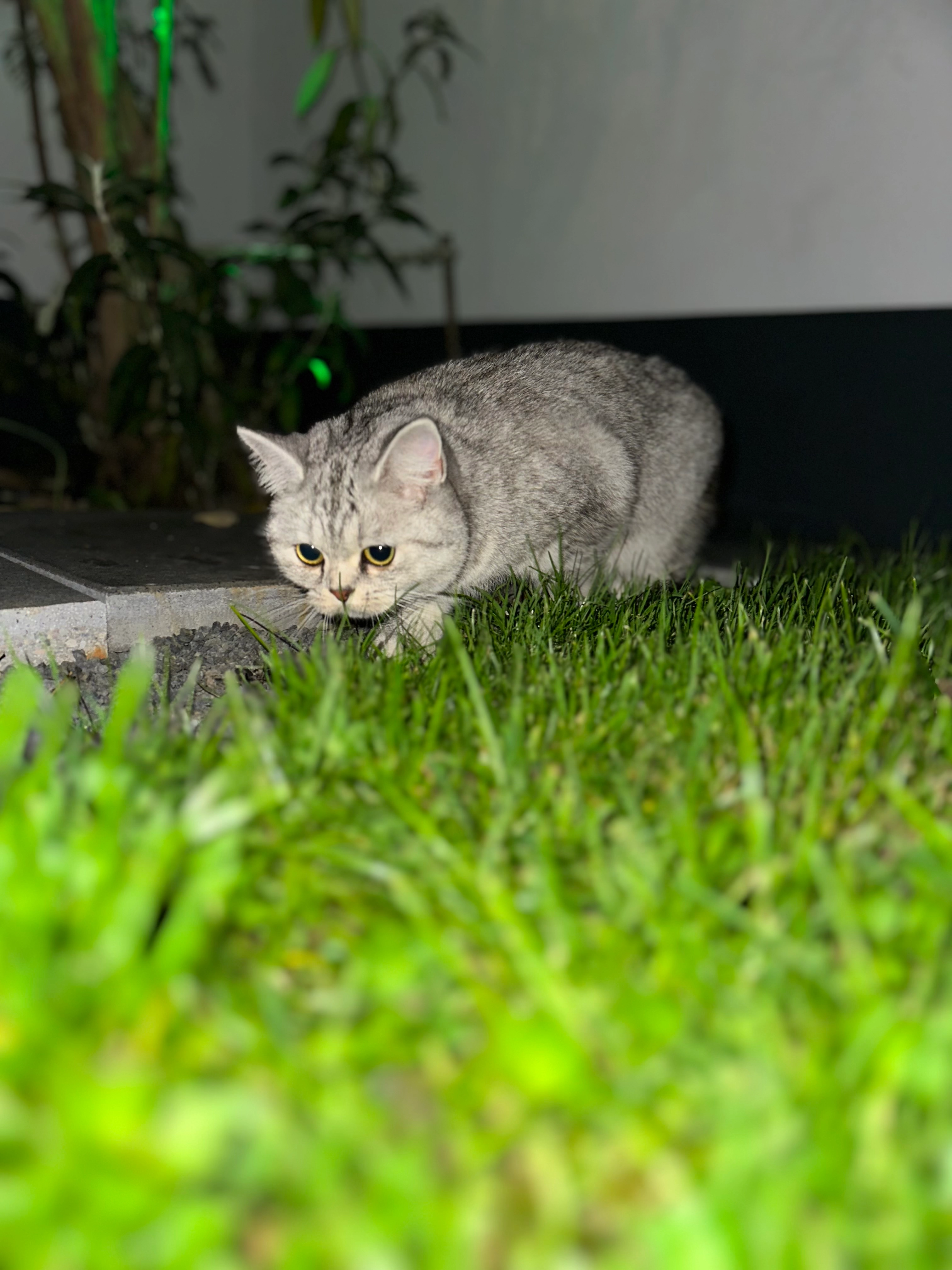 Azura - Kirchstraße, Waldbrunn