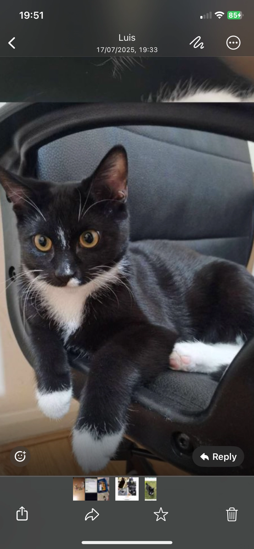 Socks - 90 Far Gosford Street, Coventry