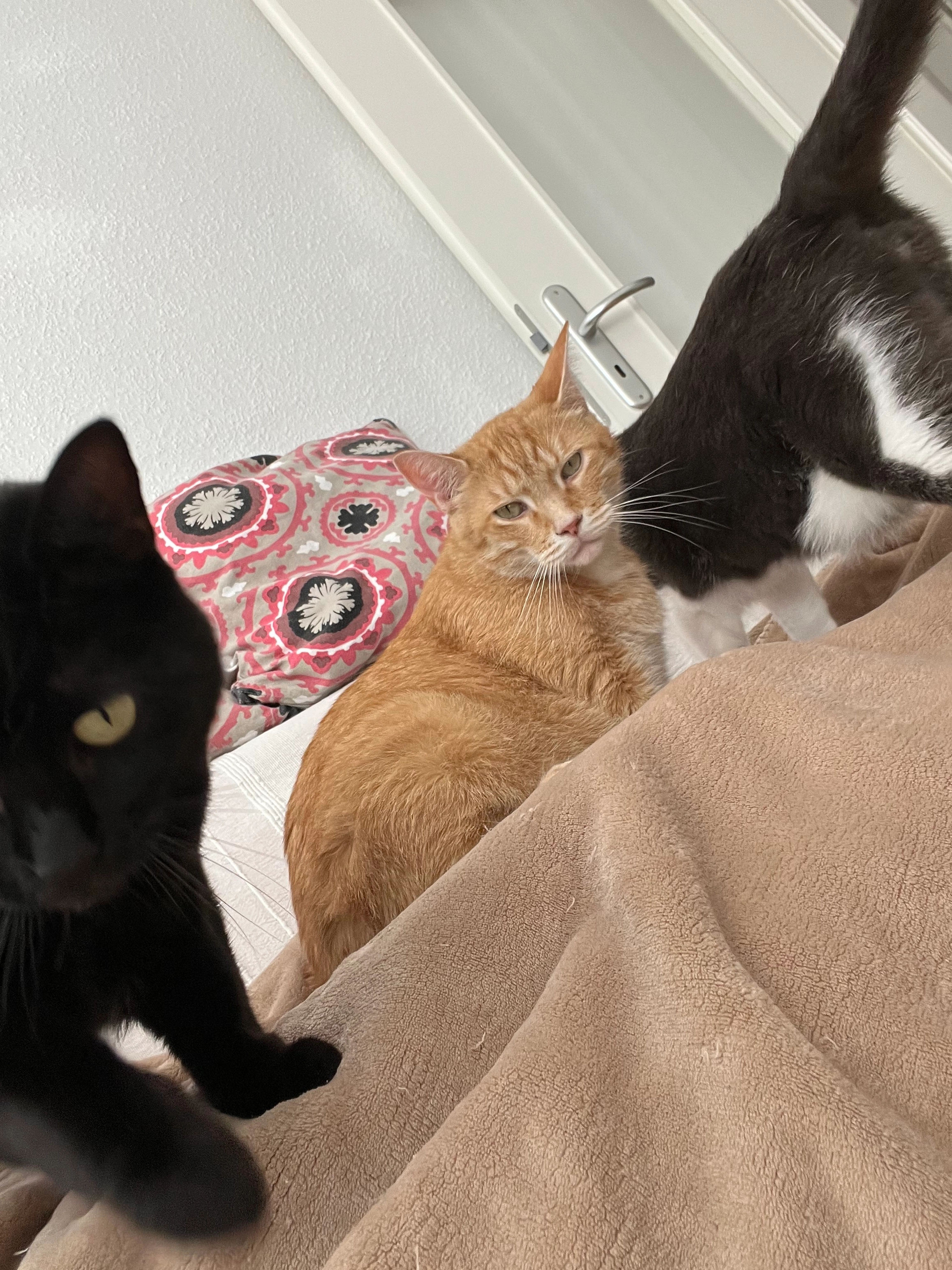 George - Johannisplatz 4, Leipzig