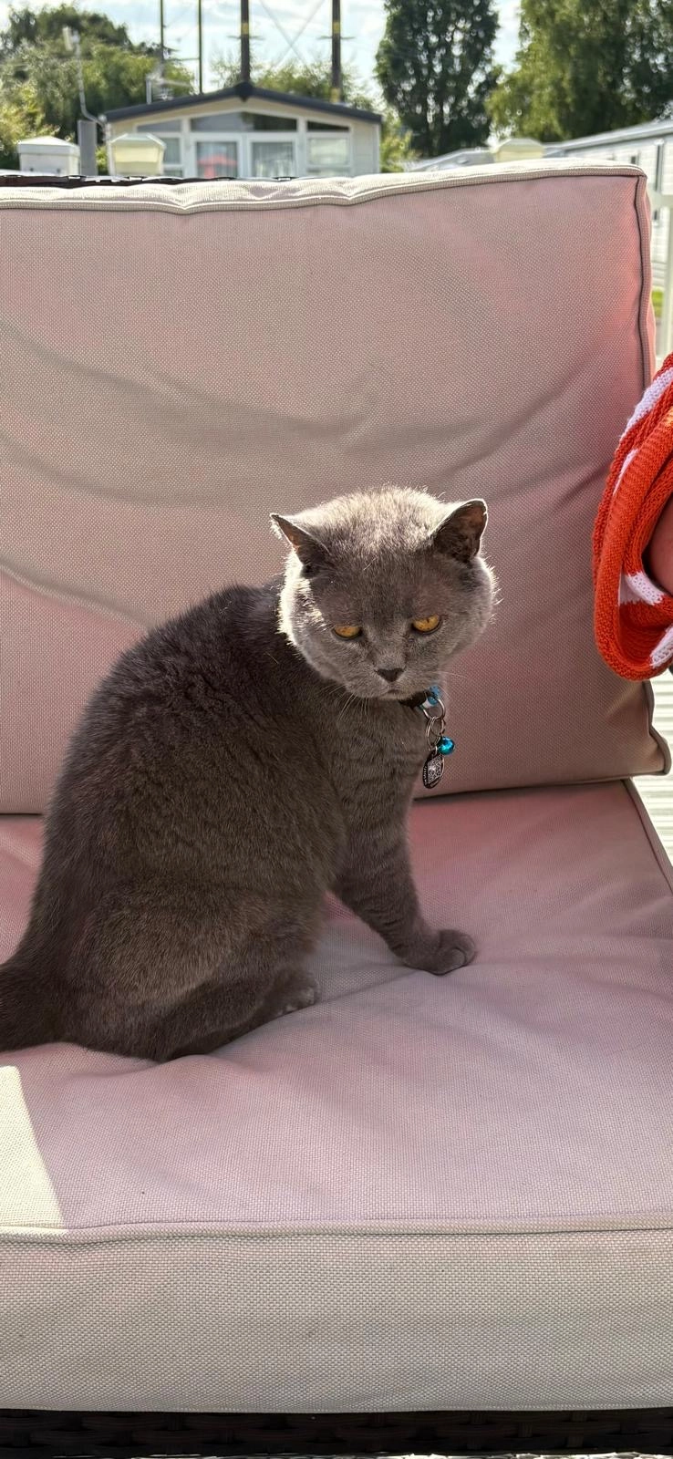 Teddy - Newlands carvan park South Beach Road, King's Lynn