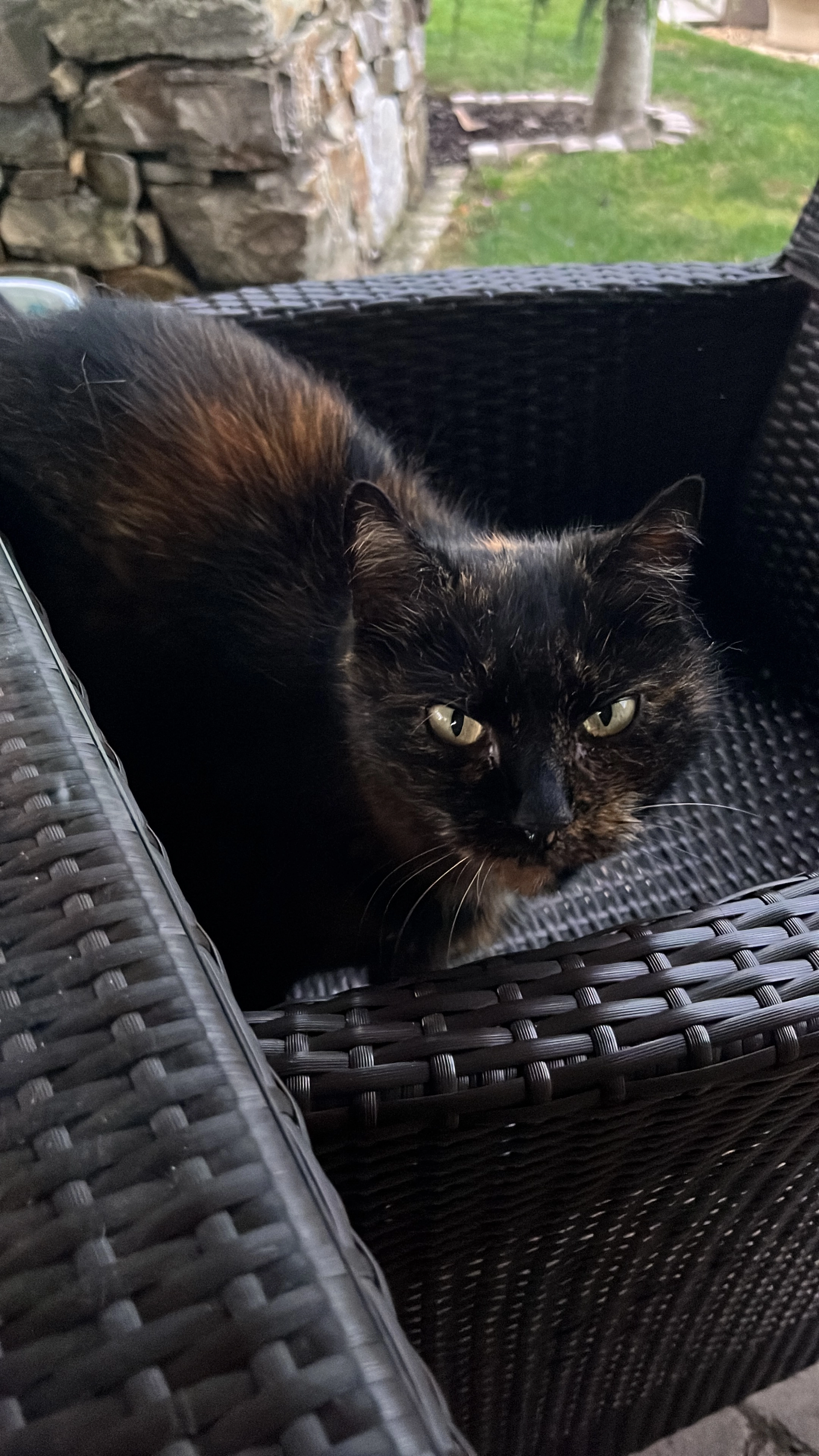 Tiger - Schlickendorf 30, Gedersdorf