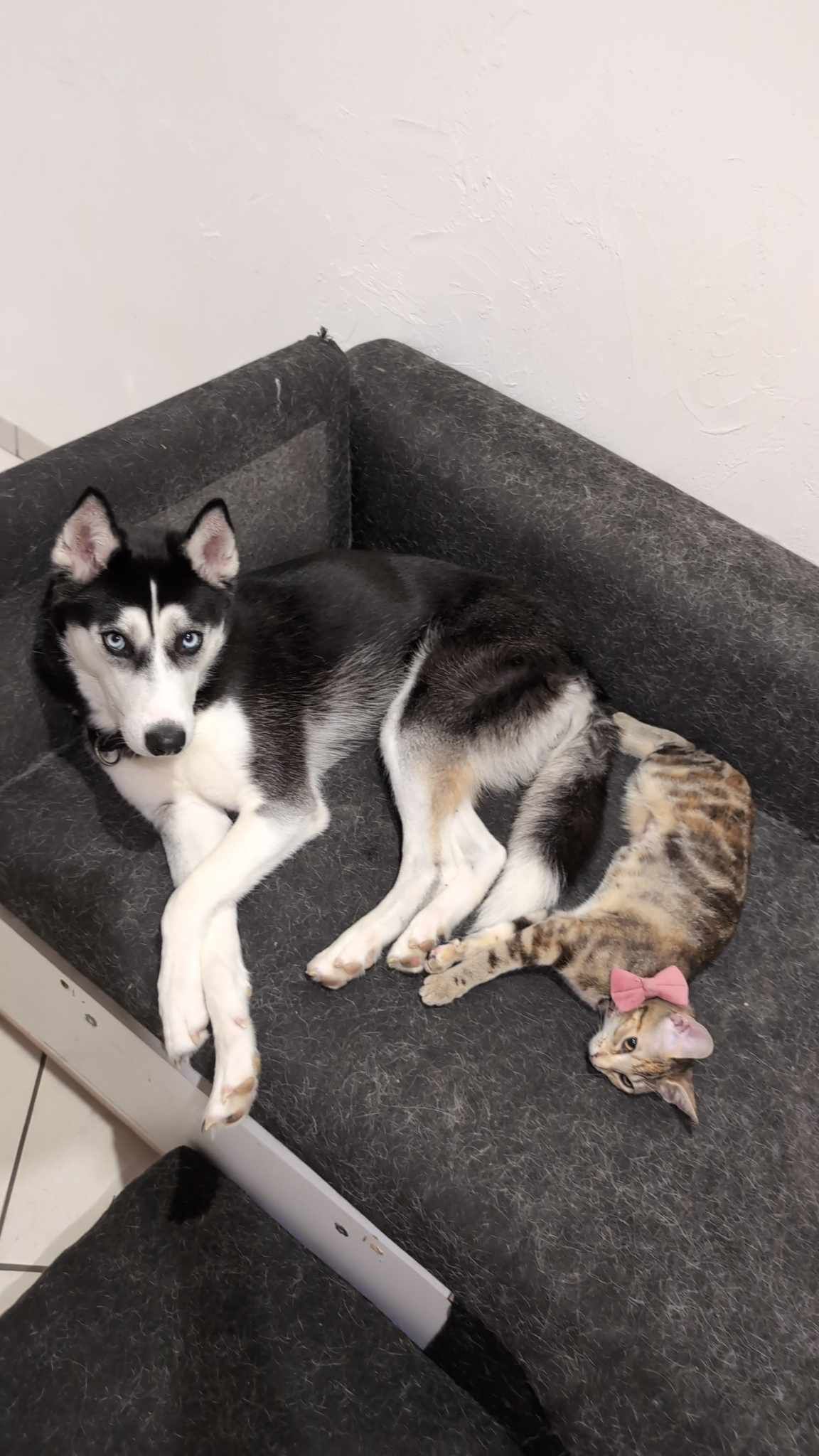 Kida - Grande Rue, Audincourt