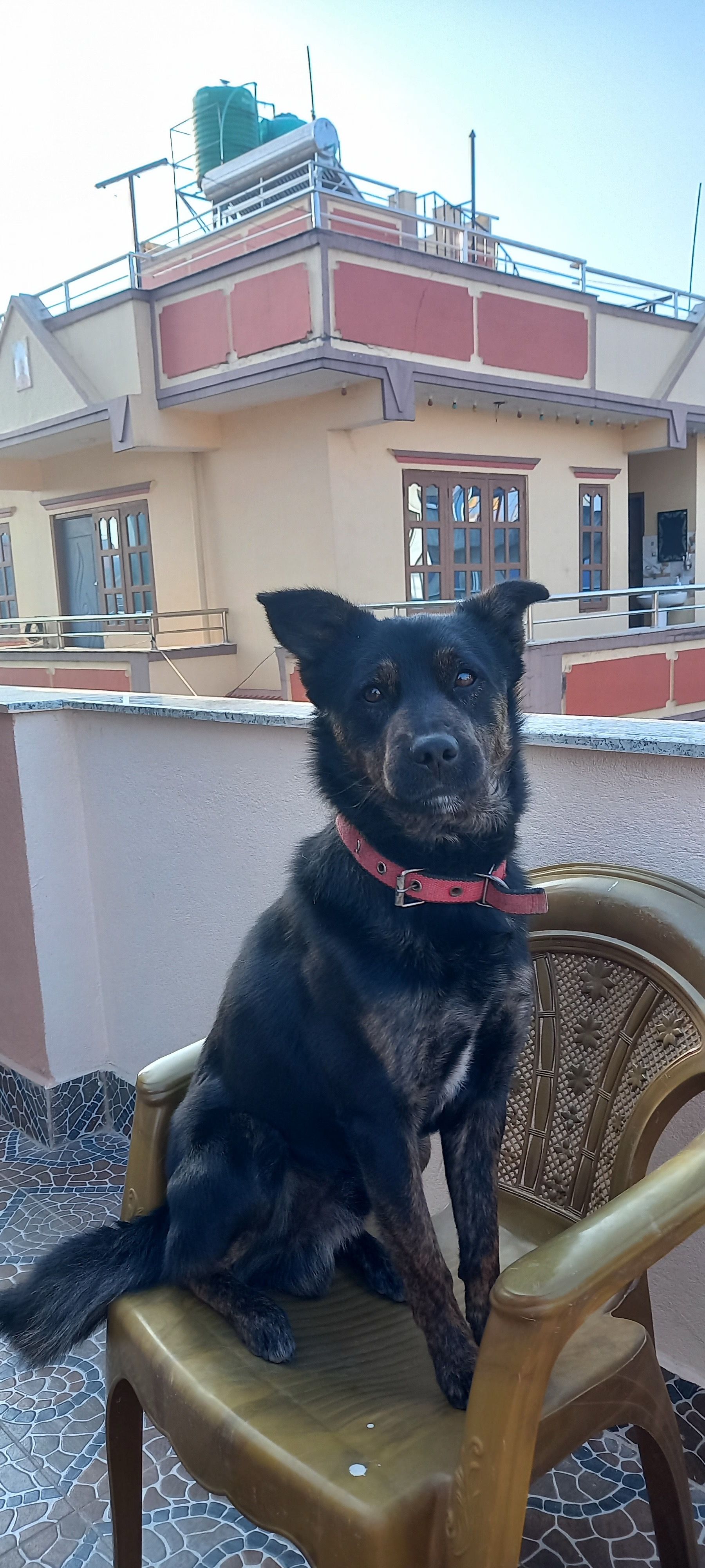 Kale - force park, Gothatar