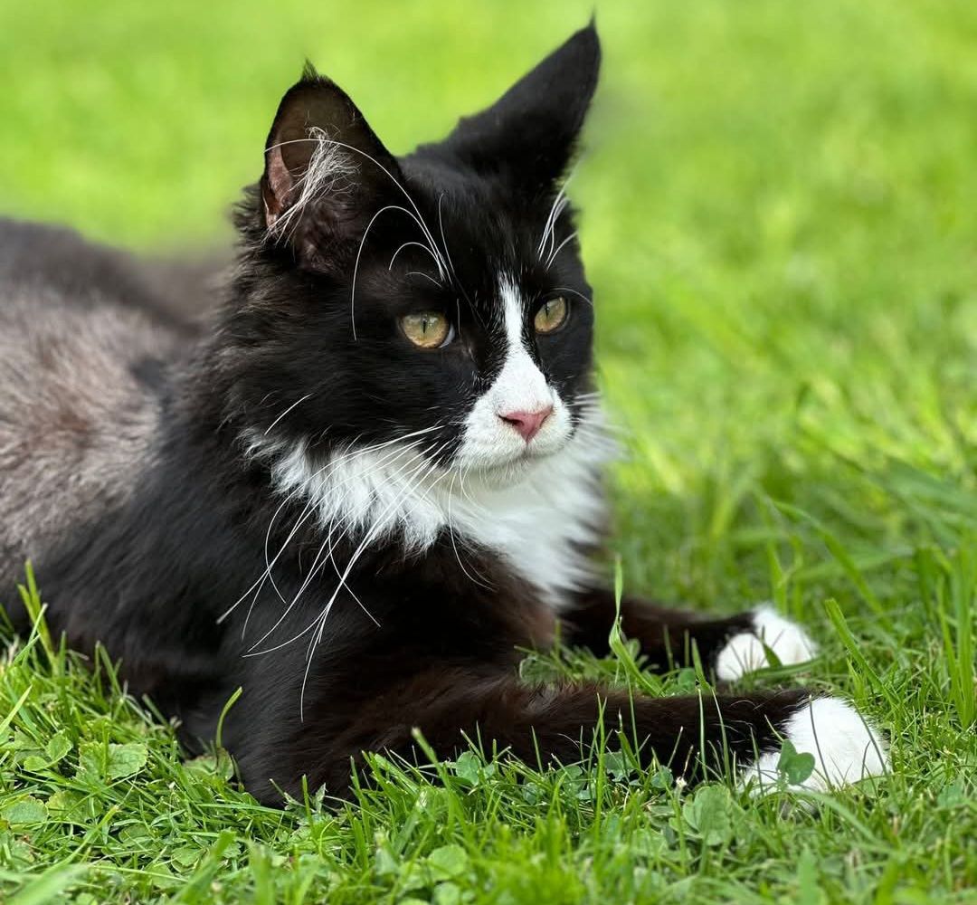 Marley - Tauernweg 5, Bruck an der Großglocknerstraße
