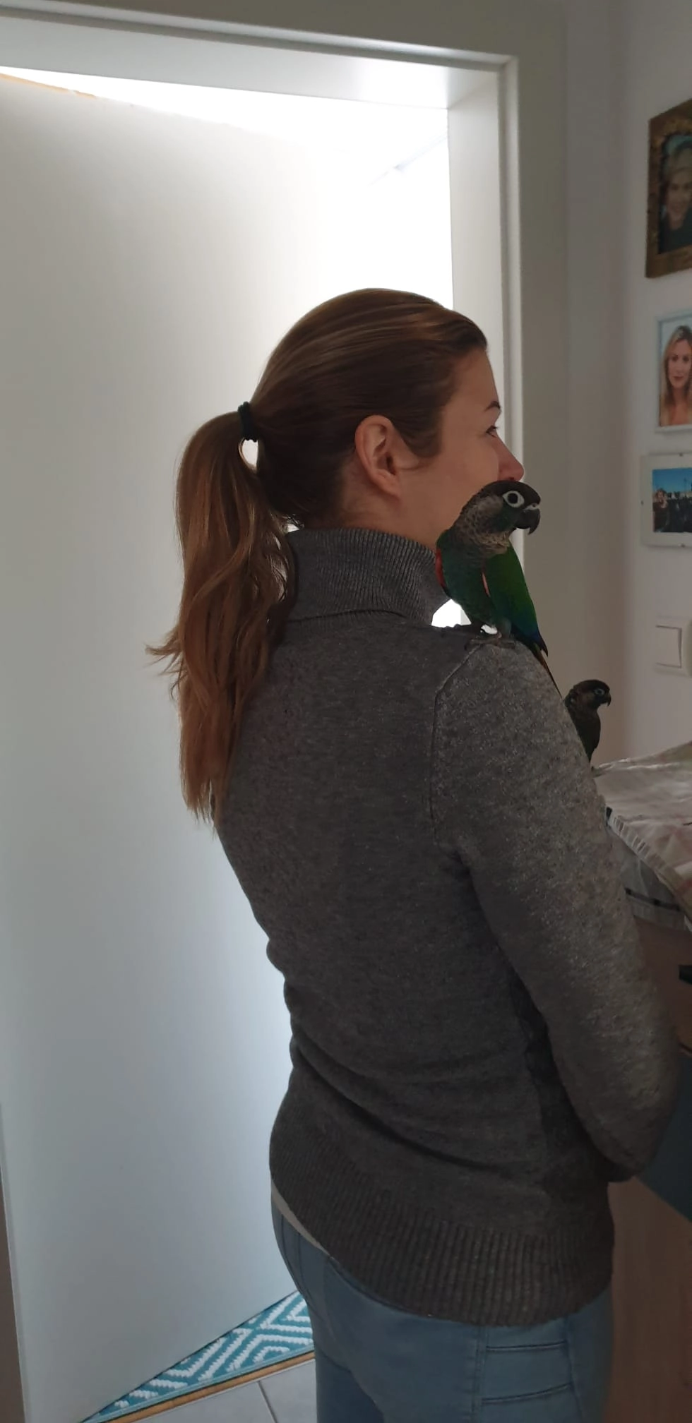 Blue - Göttelsberg 38, Mortantsch