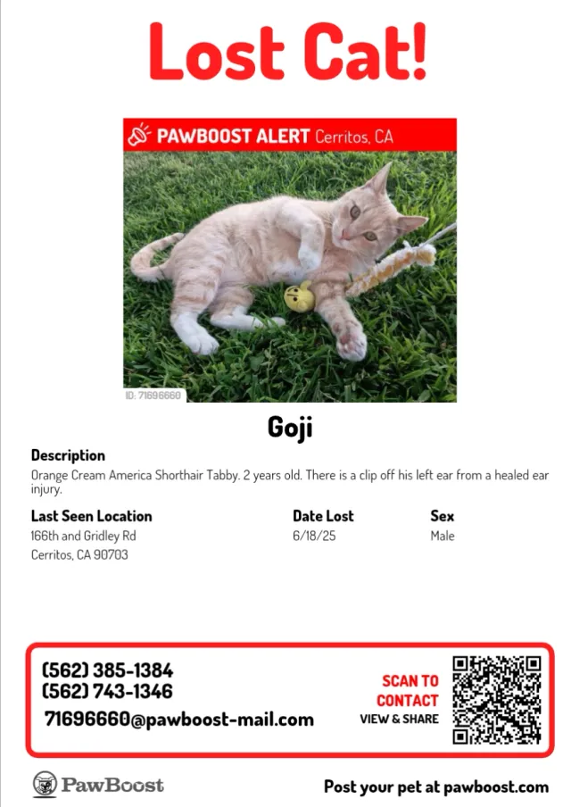 Goji - 16702 Longworth Ave, Cerritos