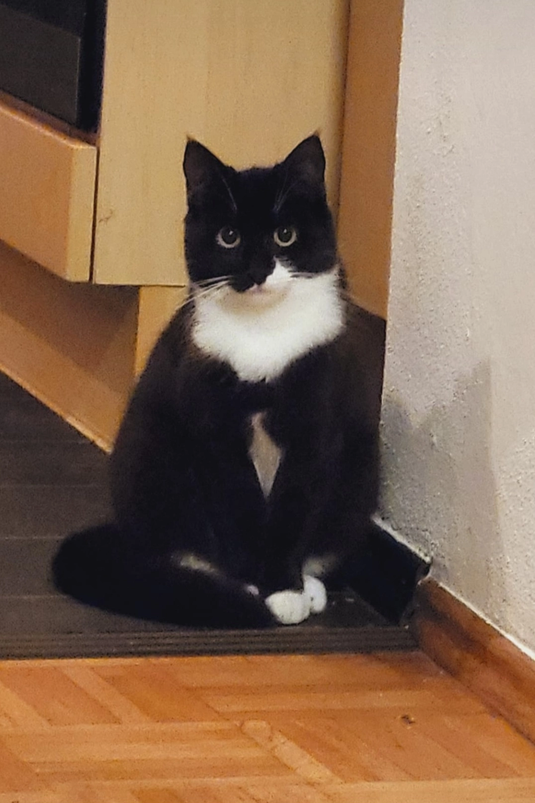 Mia - Klosterstraße, Cham