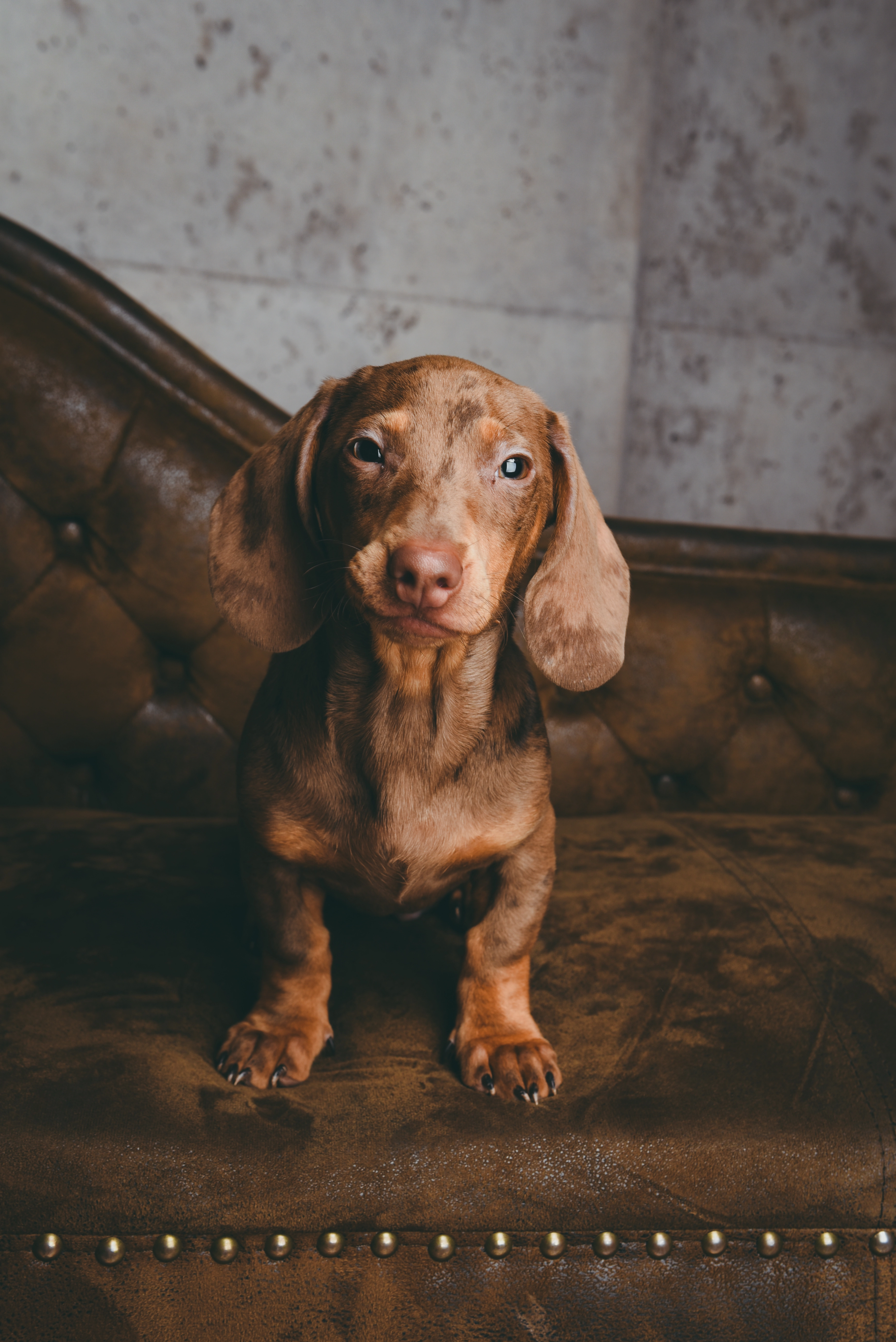 Karl - Augsburger Straße, Affing