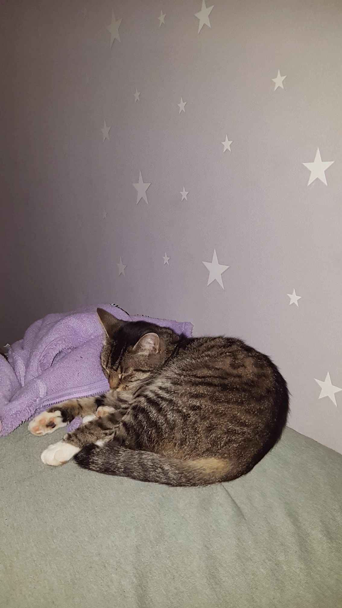 Elsa - Am Friedhof, Urbach