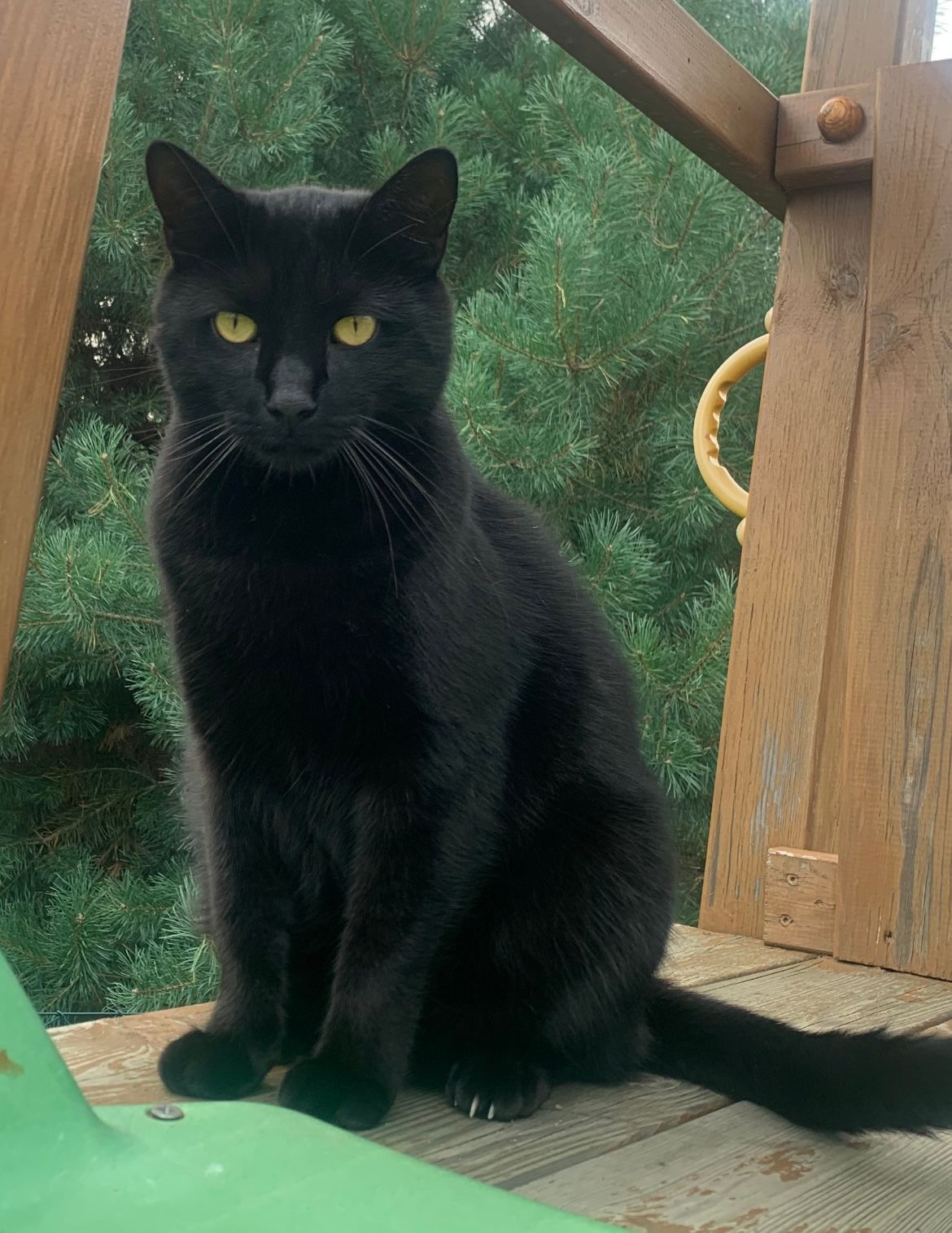 Findus - Friedenstraße, Bestensee